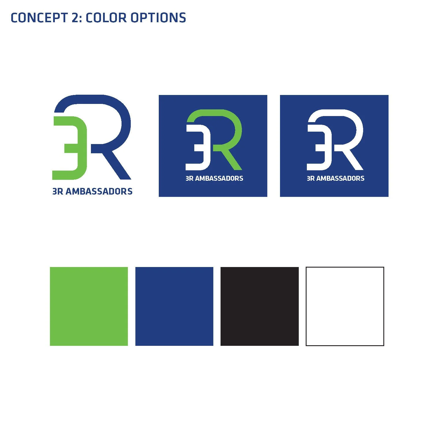 3RAmbassador Program_logoRound1_Page_05.jpg