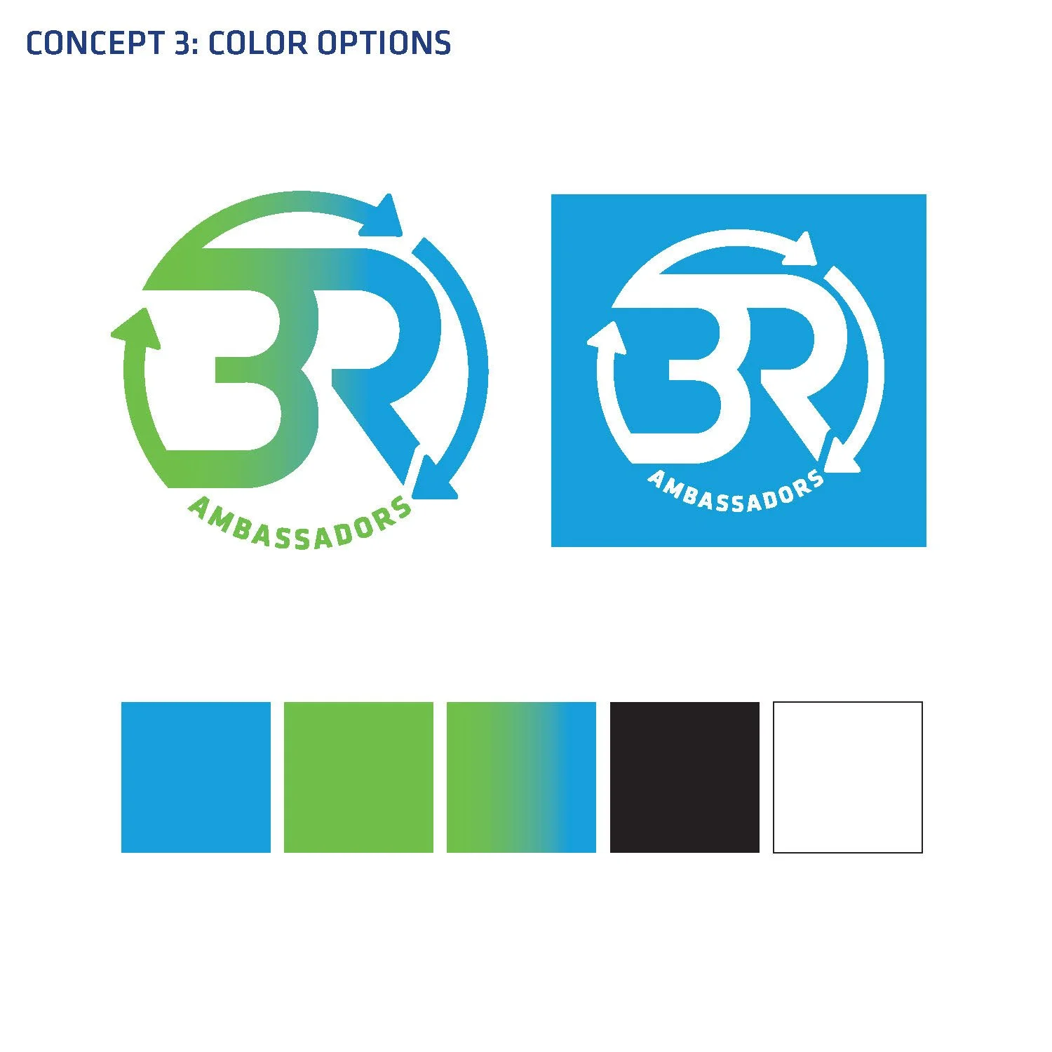 3RAmbassador Program_logoRound2_options_Page_8.jpg