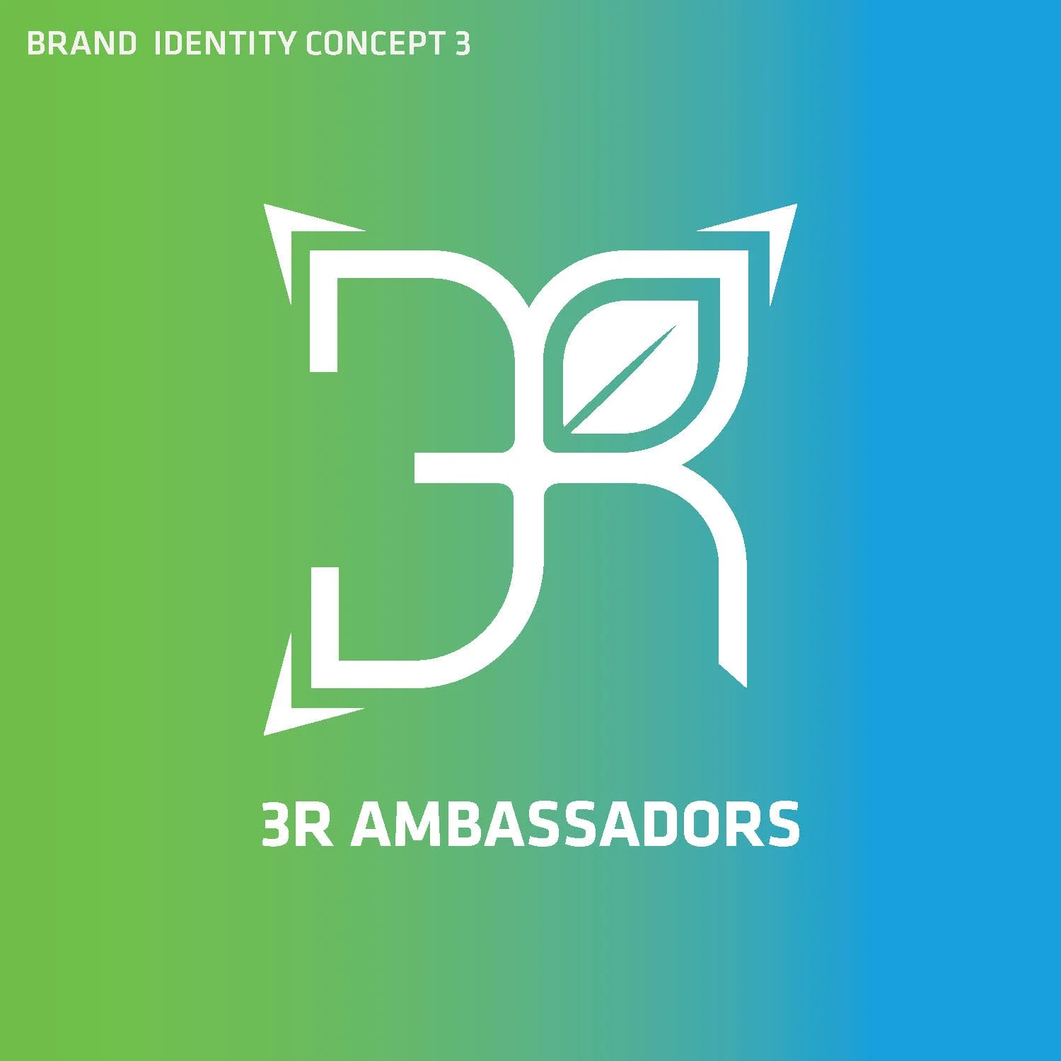 3RAmbassador Program_logoRound1_Page_07.jpg