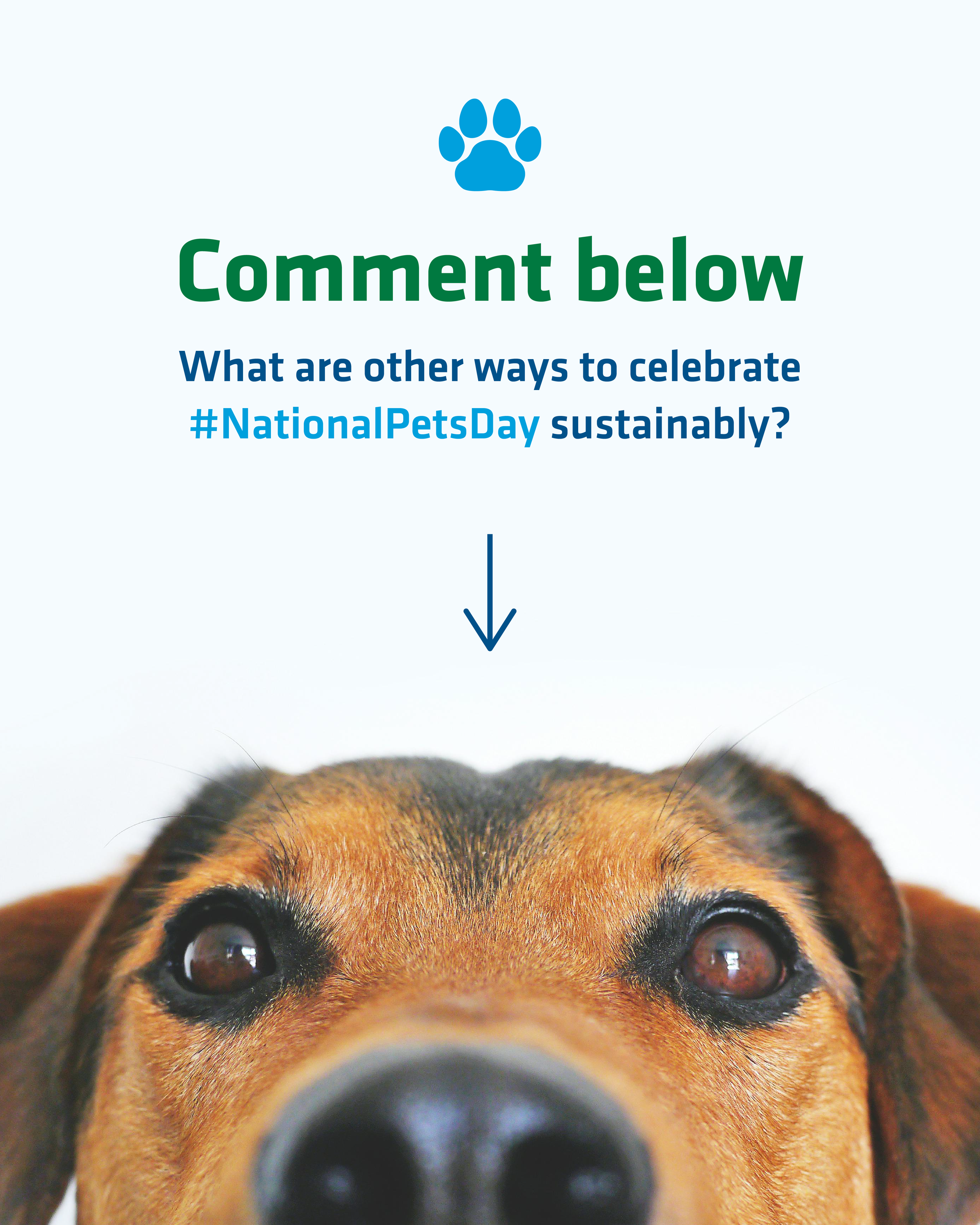 National Pet Day-05.png