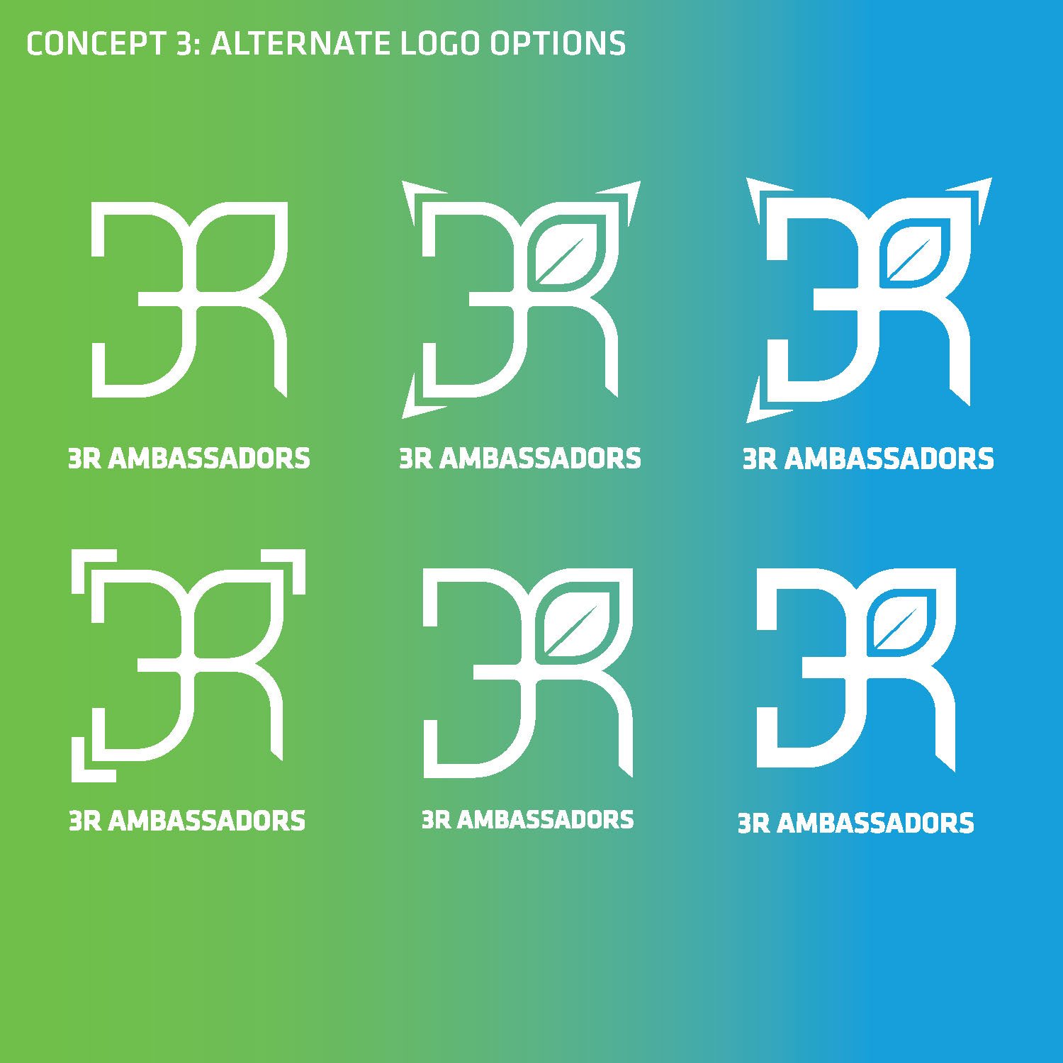 3RAmbassador Program_logoRound1_Page_09.jpg