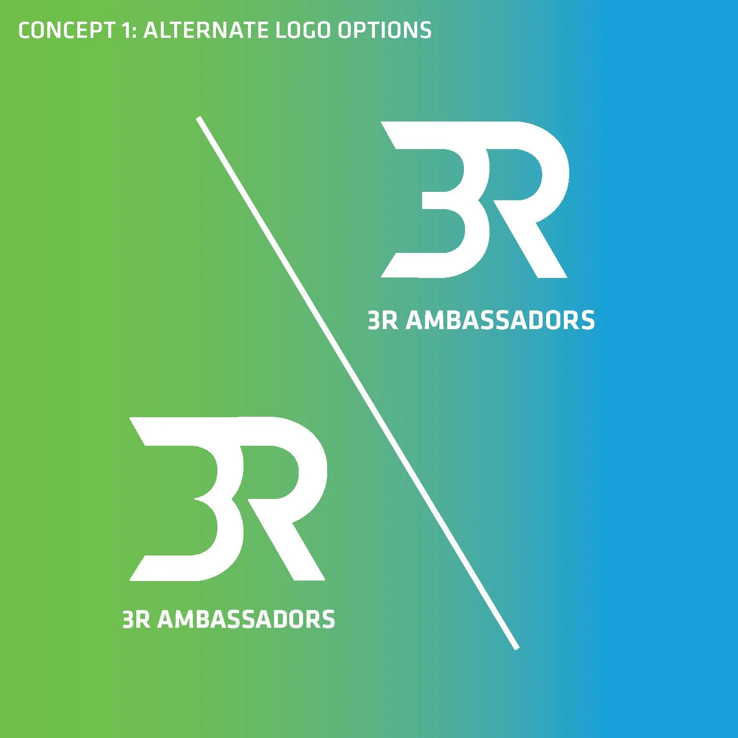 3RAmbassador Program_logoRound1_Page_03.jpg