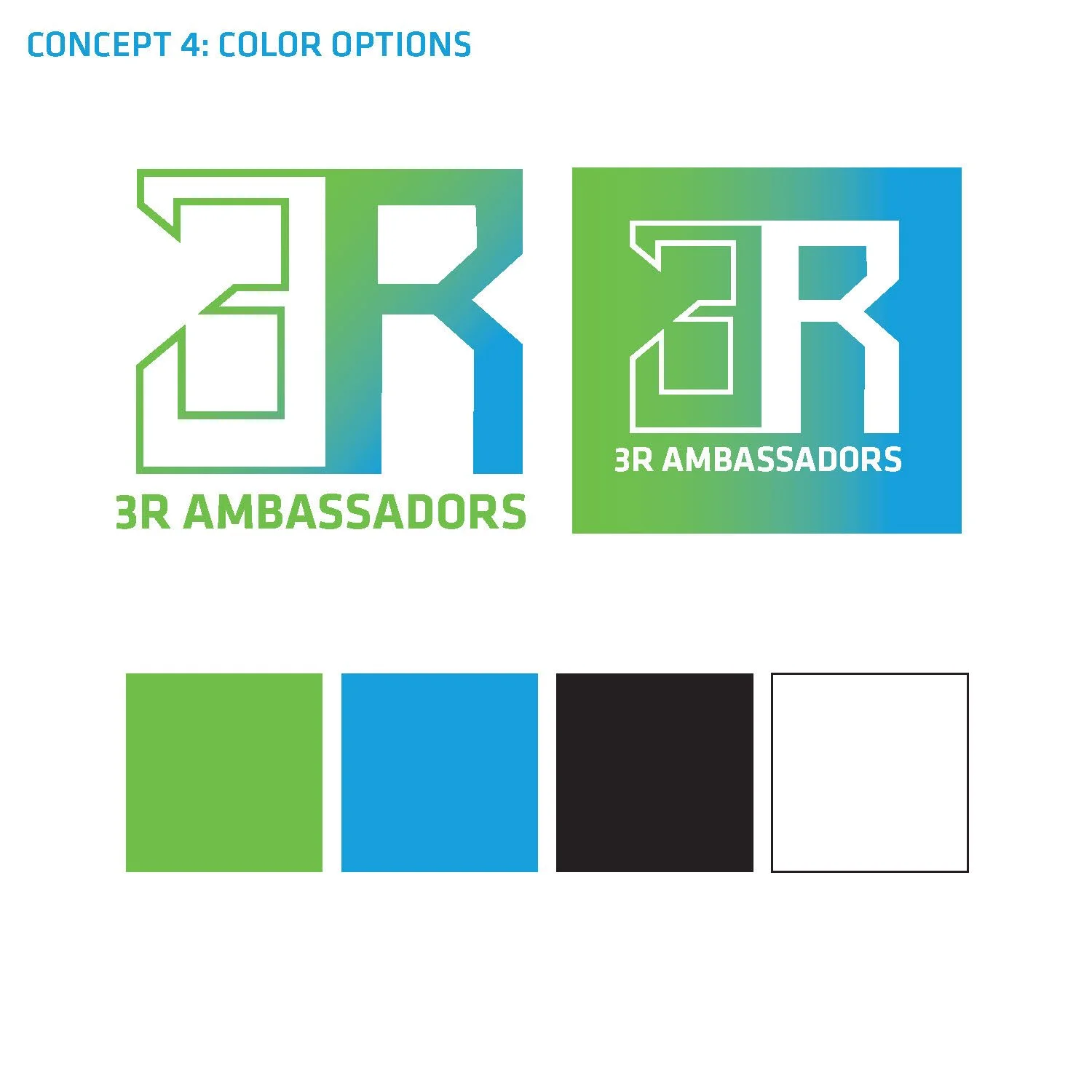 3RAmbassador Program_logoRound1_Page_11.jpg