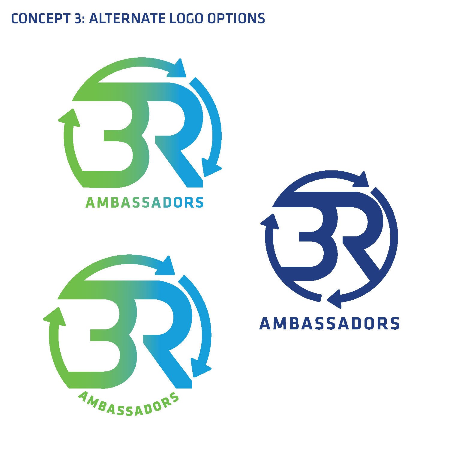 3RAmbassador Program_logoRound2_options_Page_9.jpg