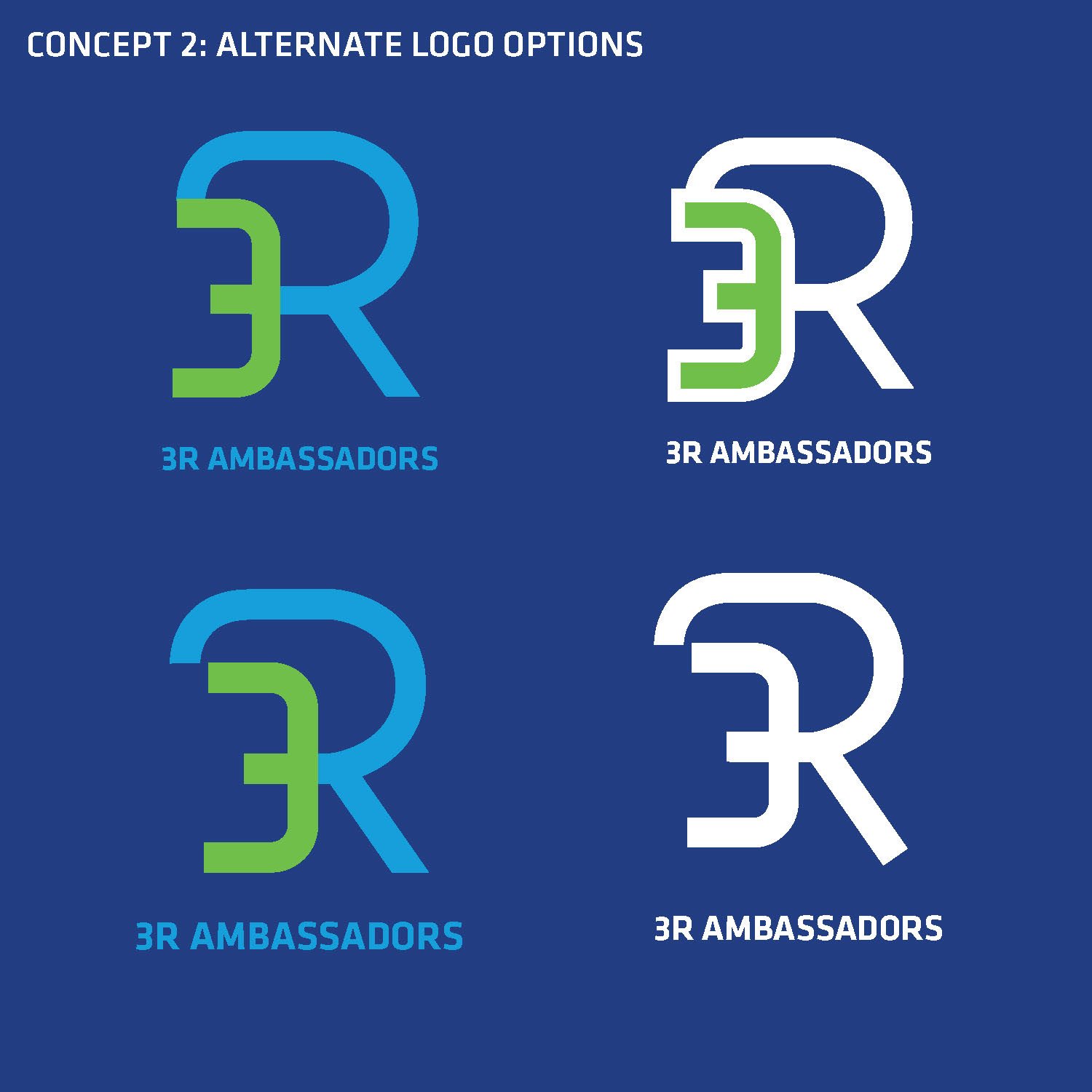 3RAmbassador Program_logoRound1_Page_06.jpg