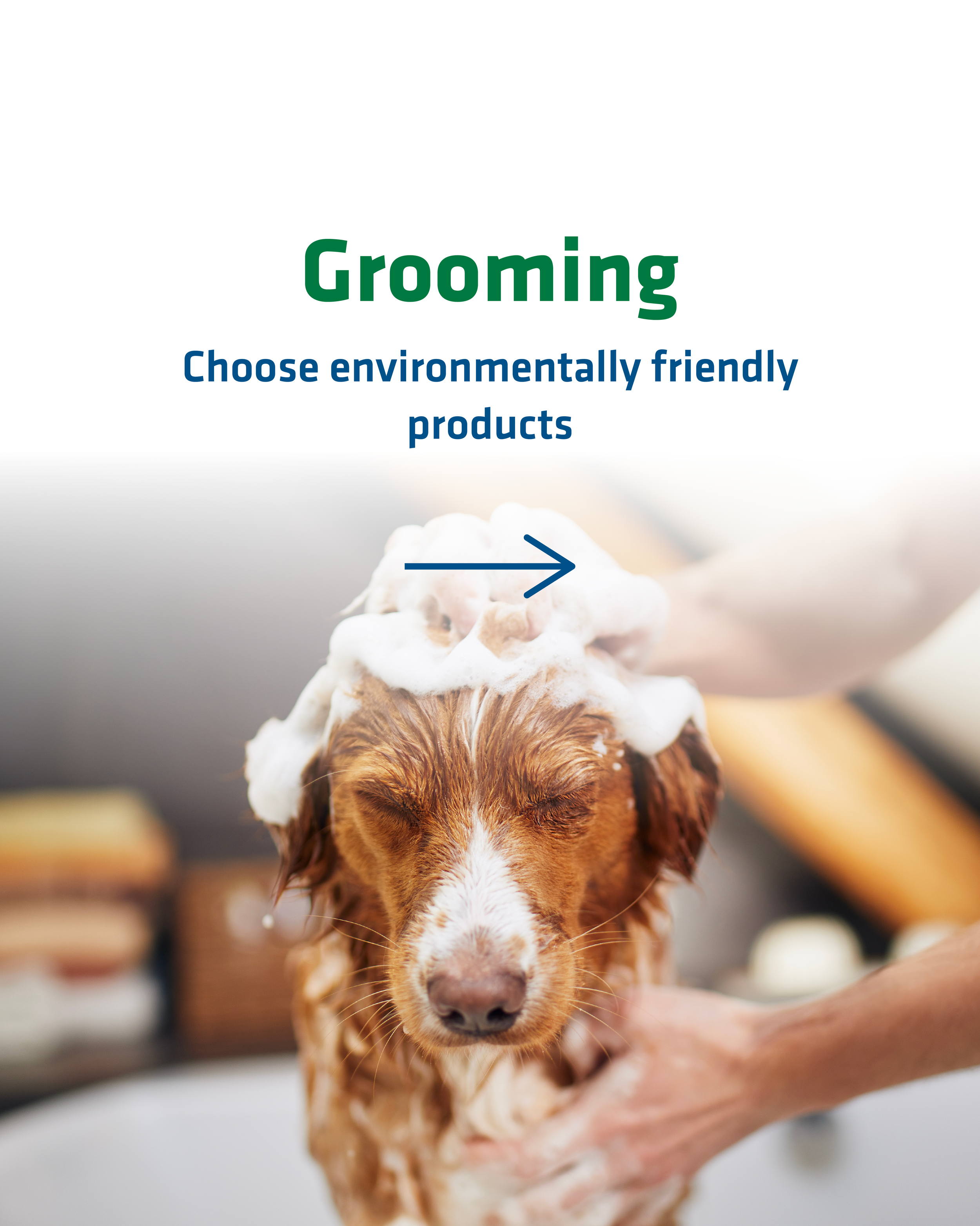 National Pet Day-02.png