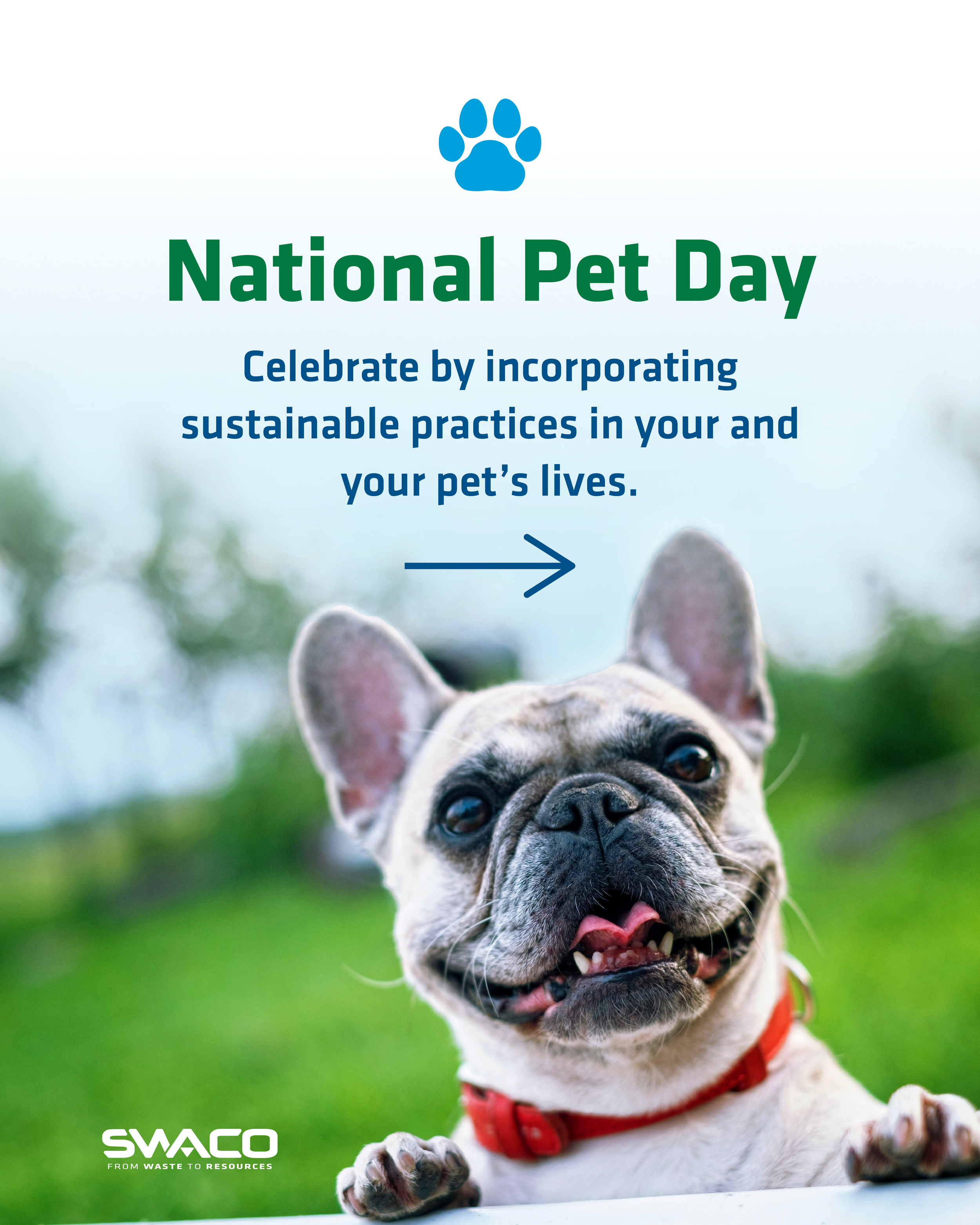 National Pet Day-01.png