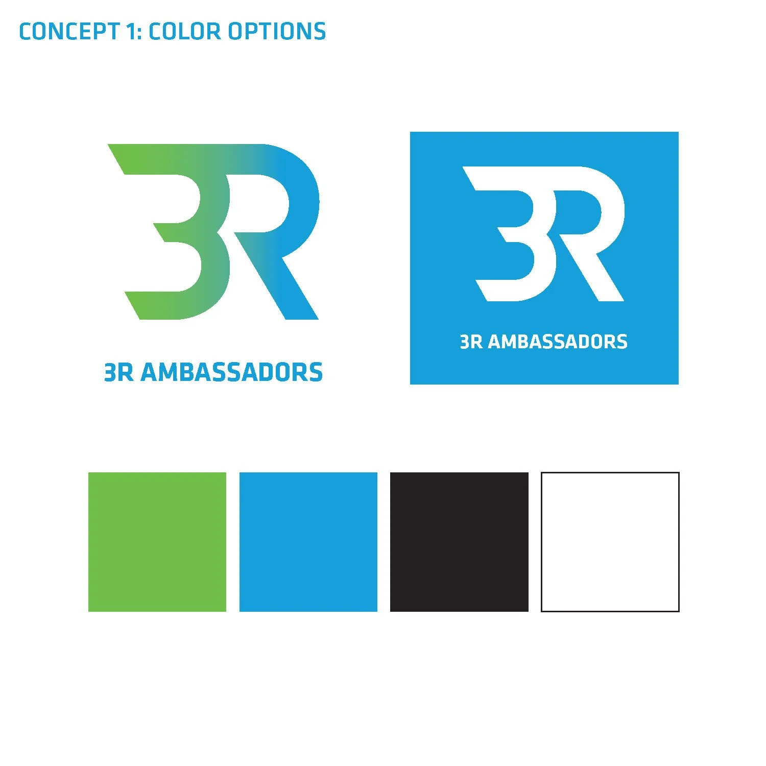 3RAmbassador Program_logoRound1_Page_02.jpg