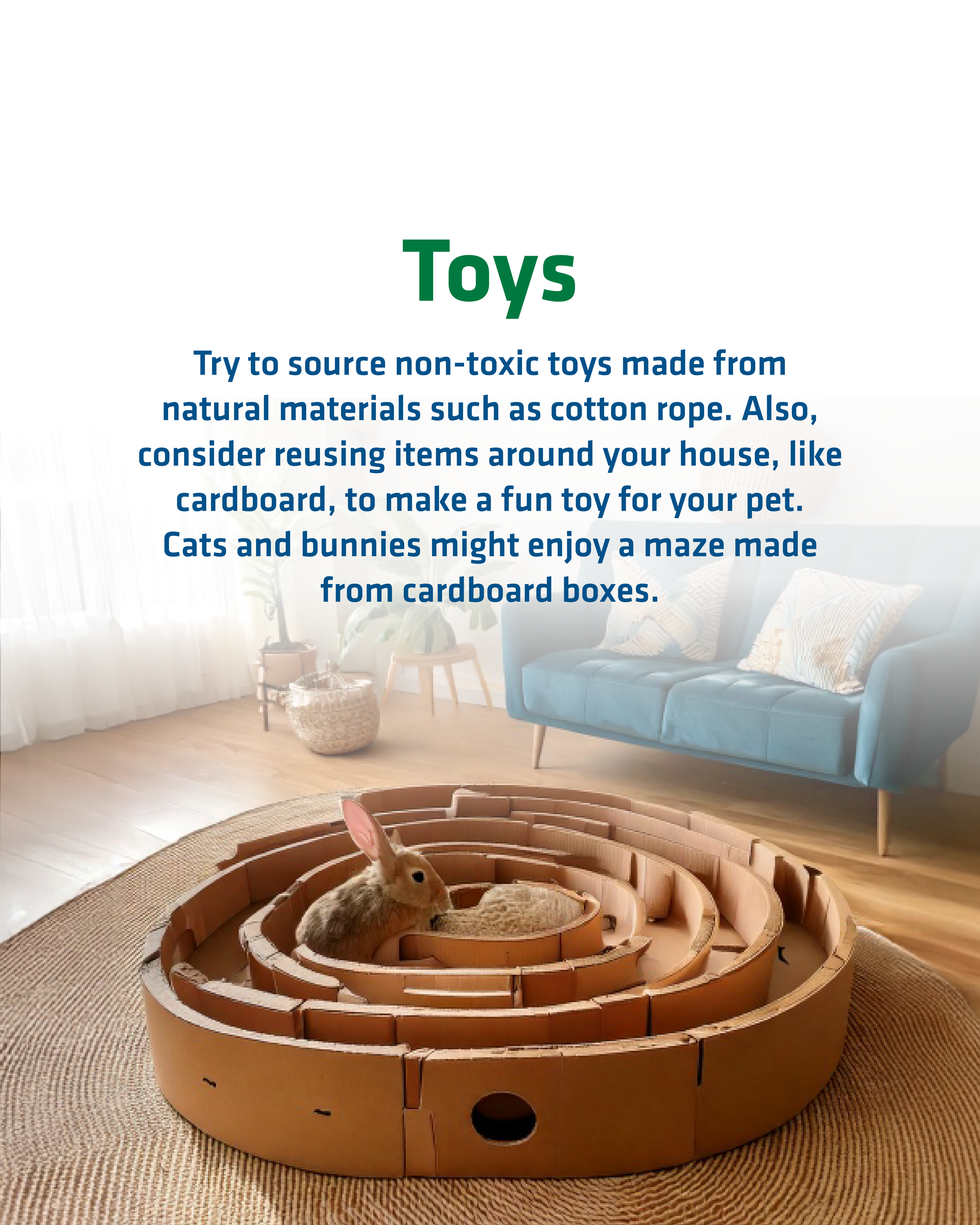 National Pet Day-04.png