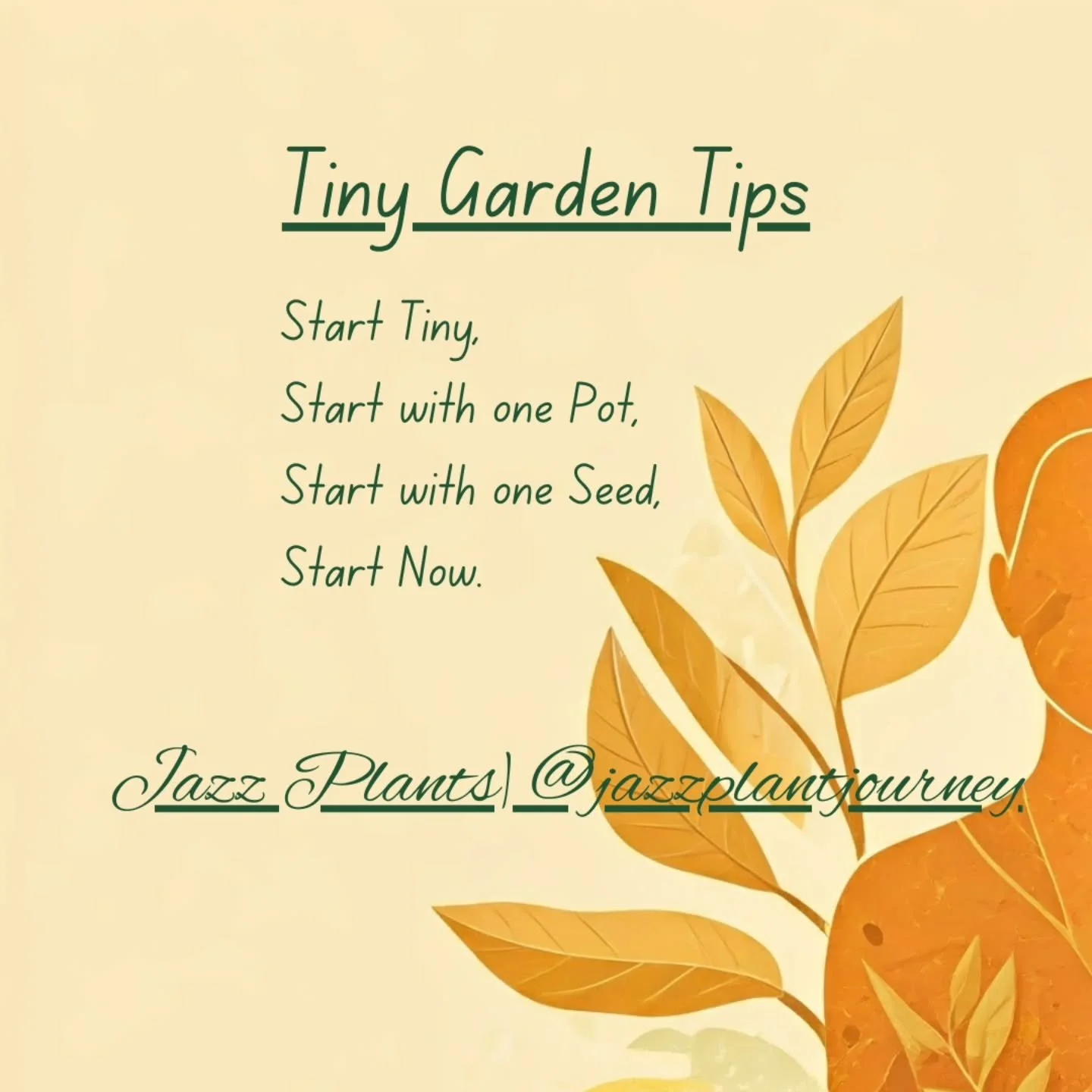 Tiny Garden Tips: The best time to start your garden is now. Start tiny, start messy, but start and see what grows.