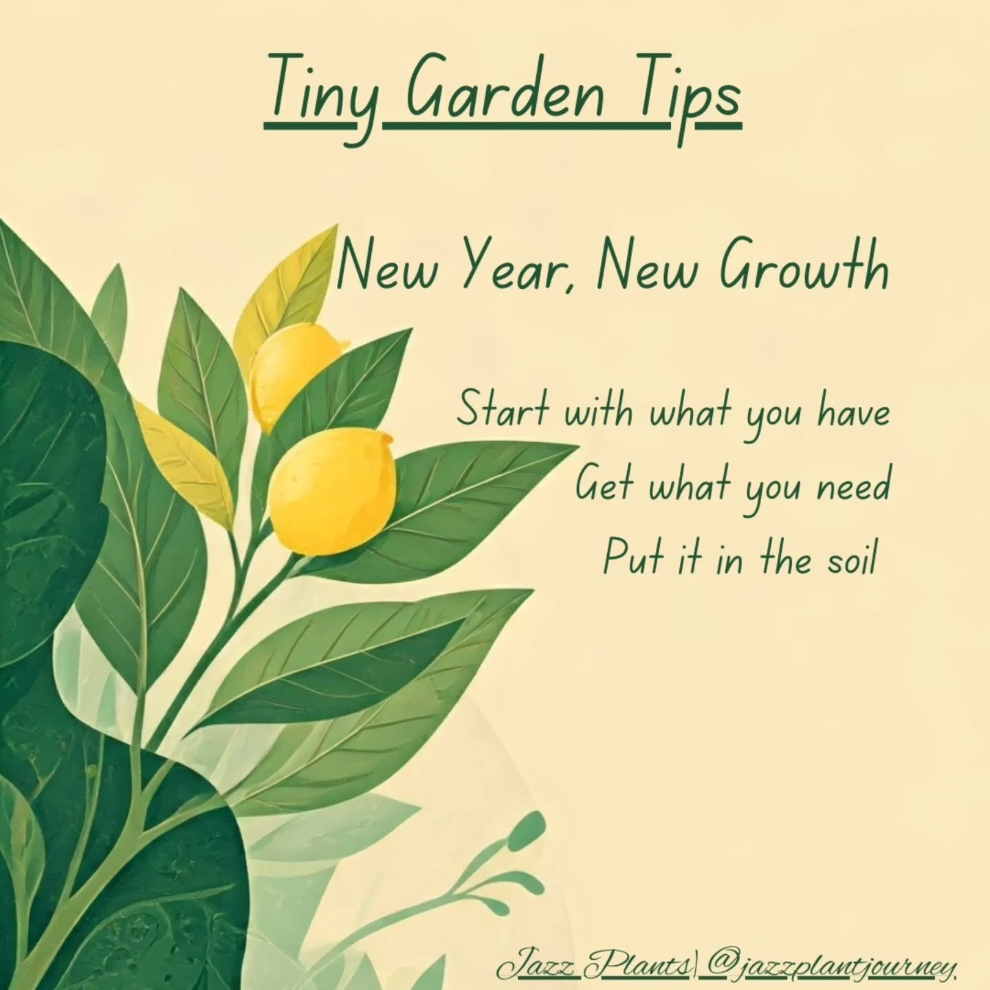 Happy New Year!!! Let's start off right. Cheers to new growth in the new year! Let's grow together 🌻

#tinygardentips #tinygarden #pottedgarden #pottedplants
