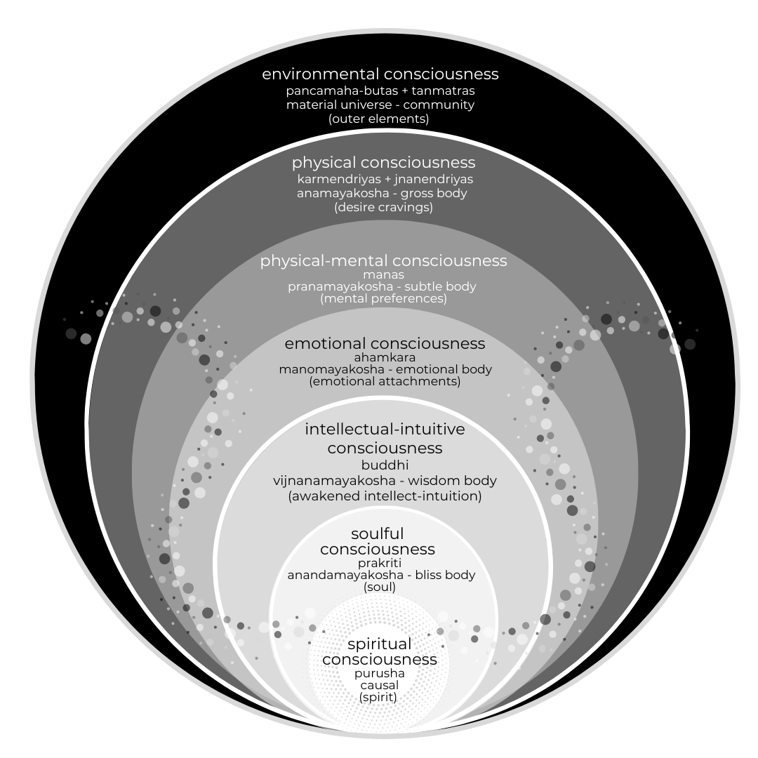CONSCIOUSNESS IS EVERYTHING