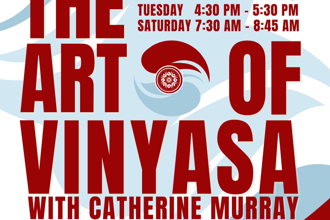The Art of Vinyasa with Catherine 