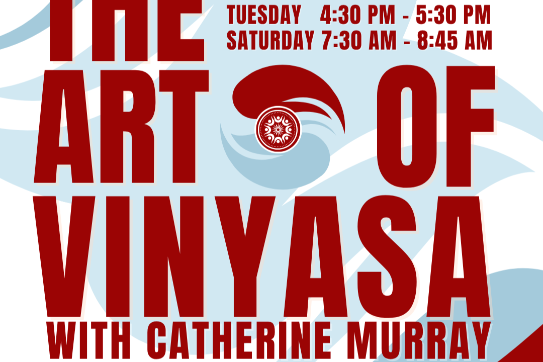 The Art of Vinyasa with Catherine 