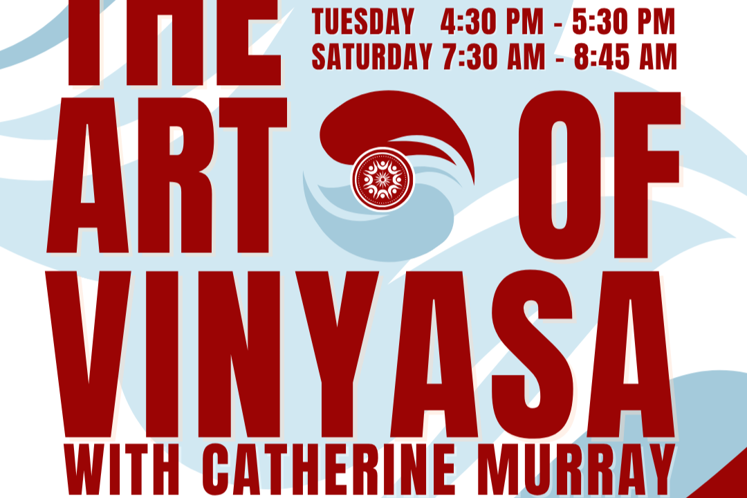 The Art of Vinyasa with Catherine 