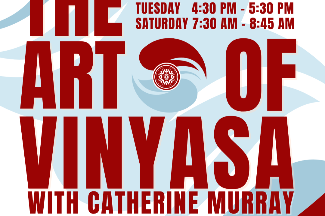 The Art of Vinyasa with Catherine 