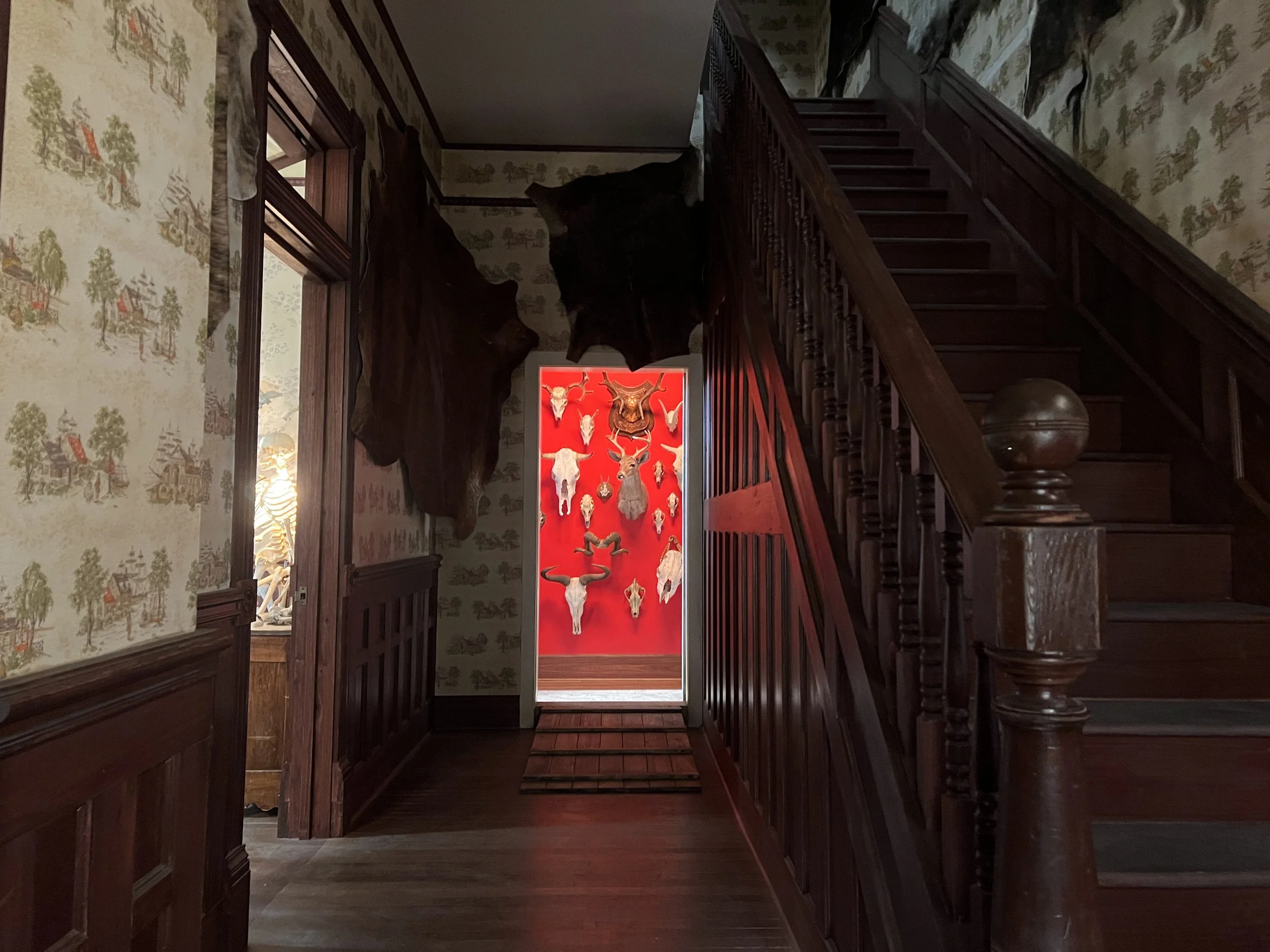 2025-01-17 13.21.51-1.jpg