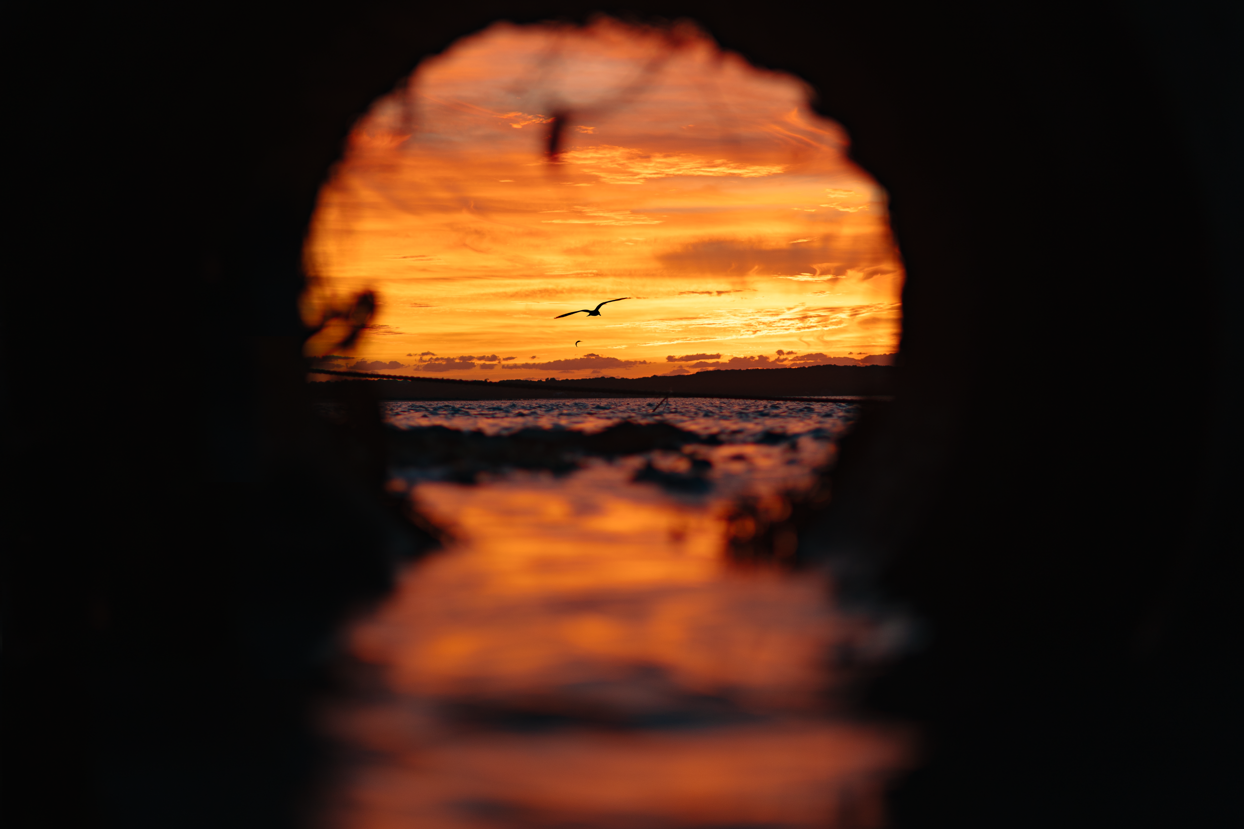 DSC00333(Version 2).png