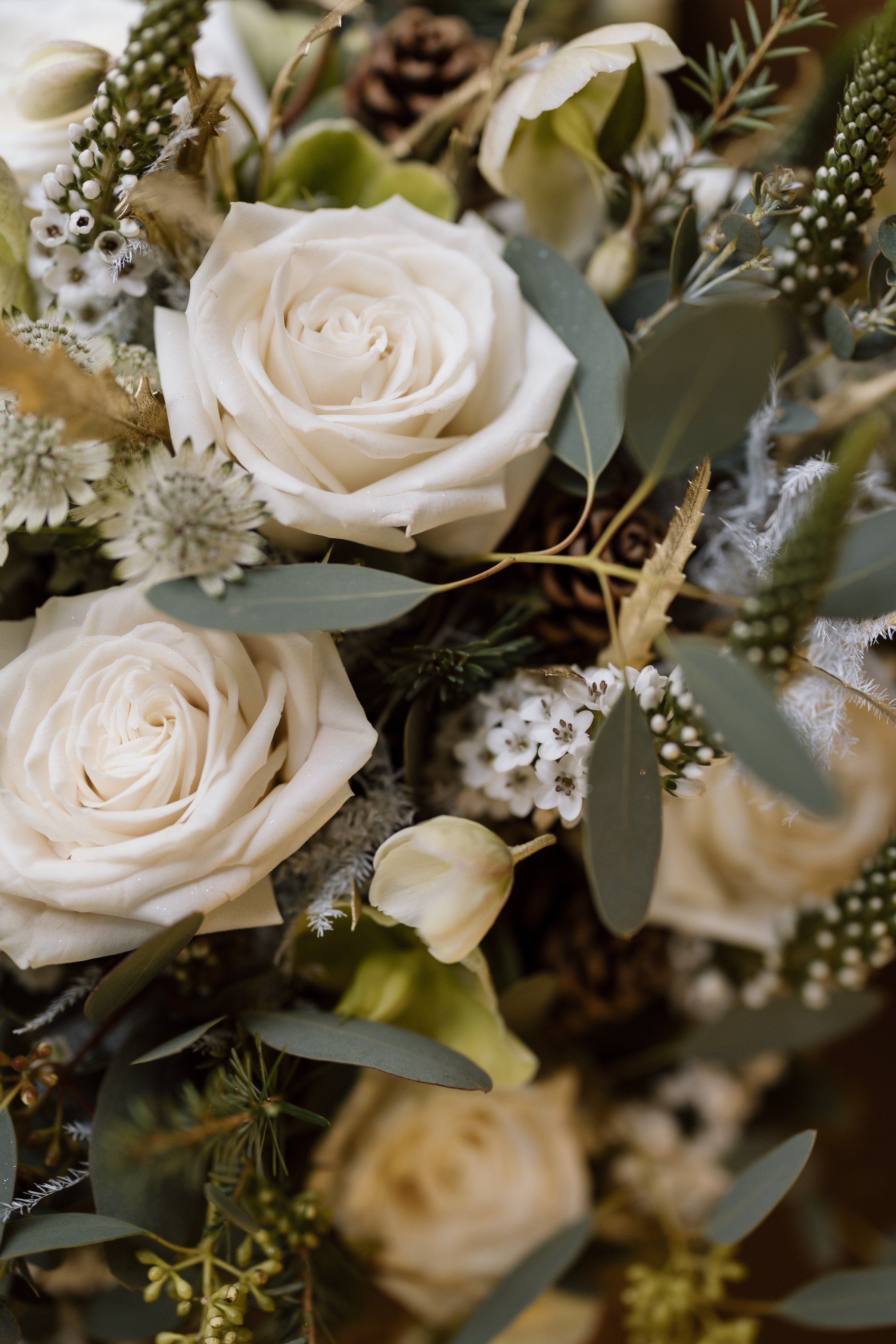 Rachel and James-Helen Rowe Photography-108.jpg