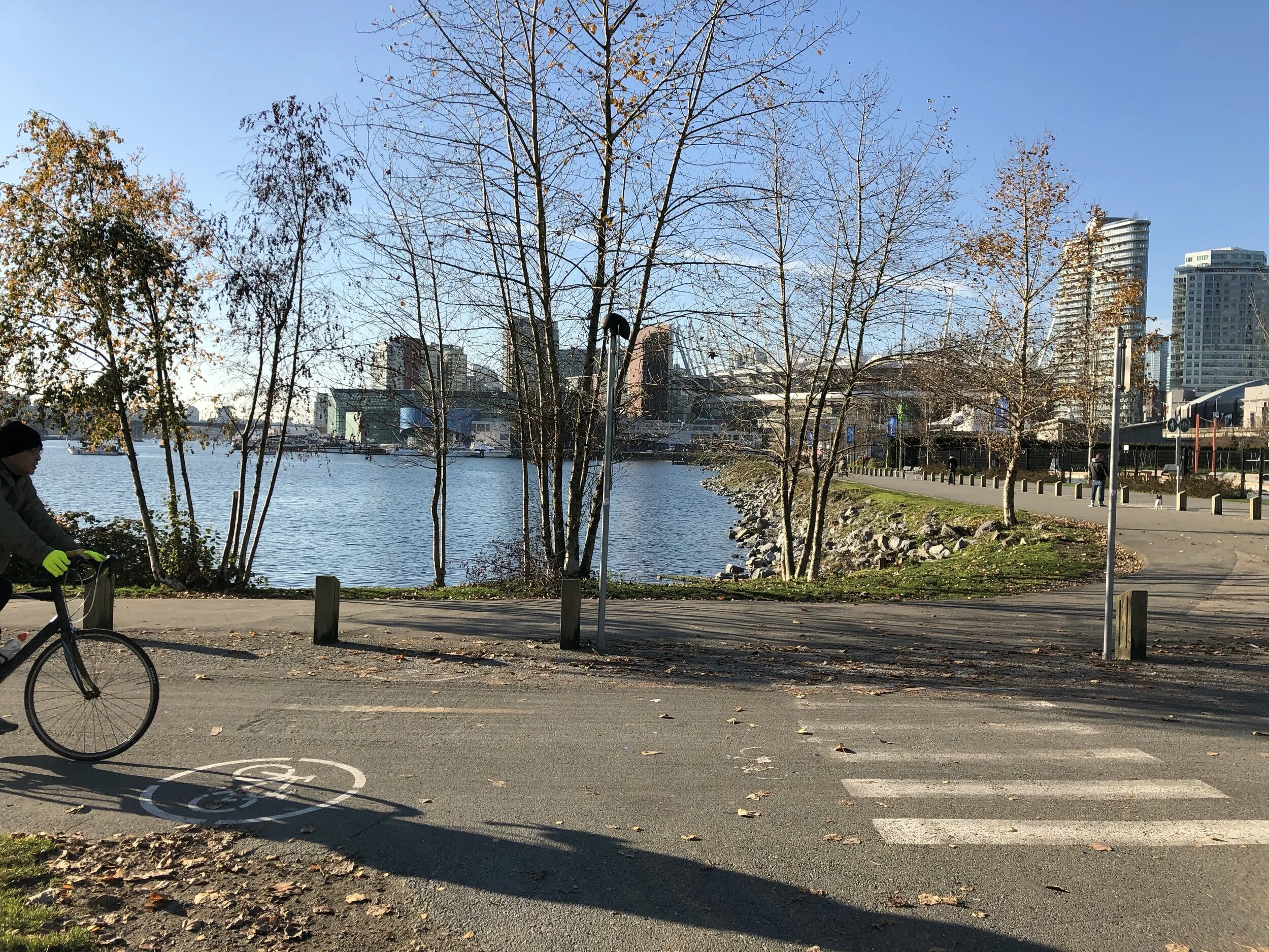 Day 12 - The Birthday