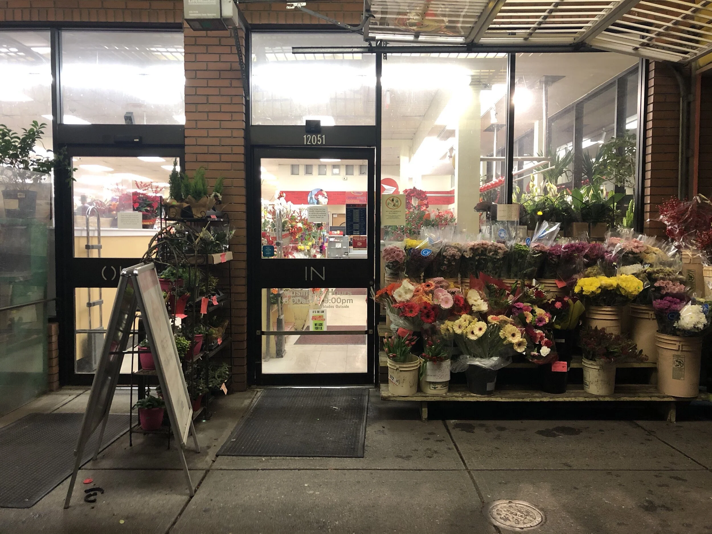 Day 1 - Saying hello