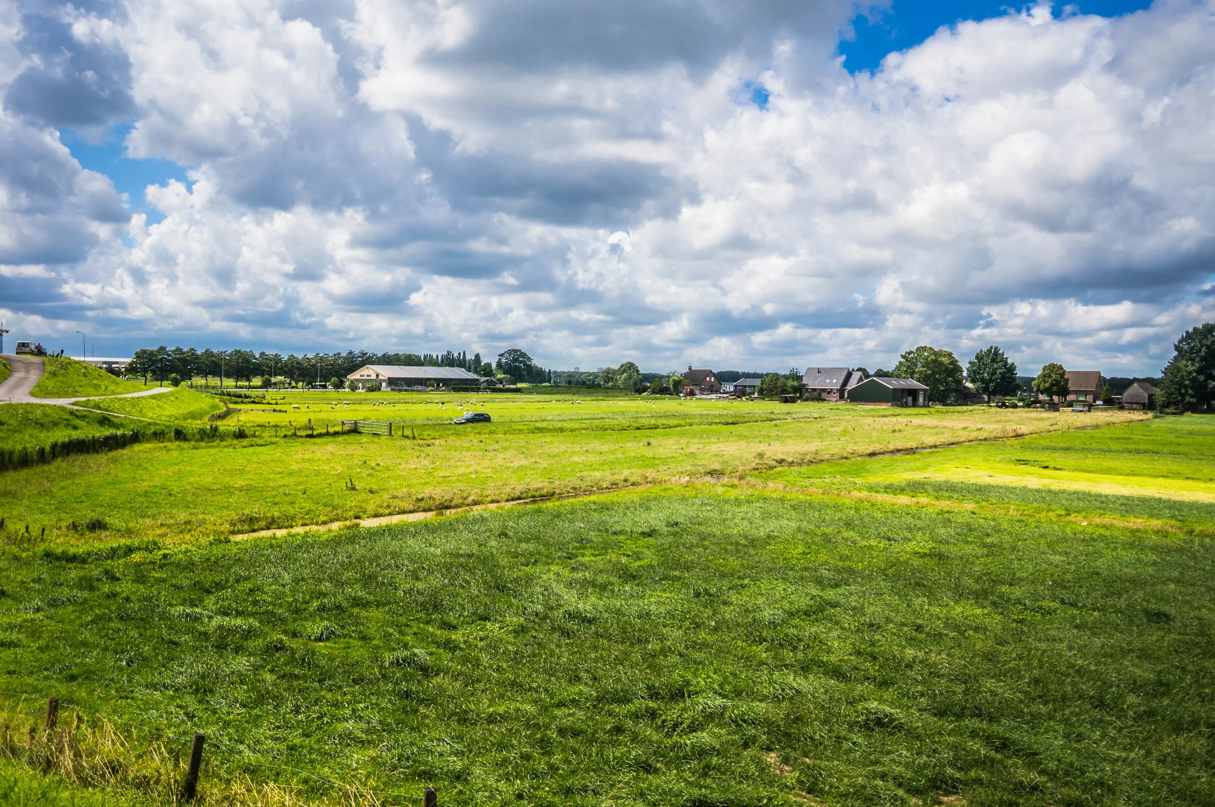 The Road to Rotterdam