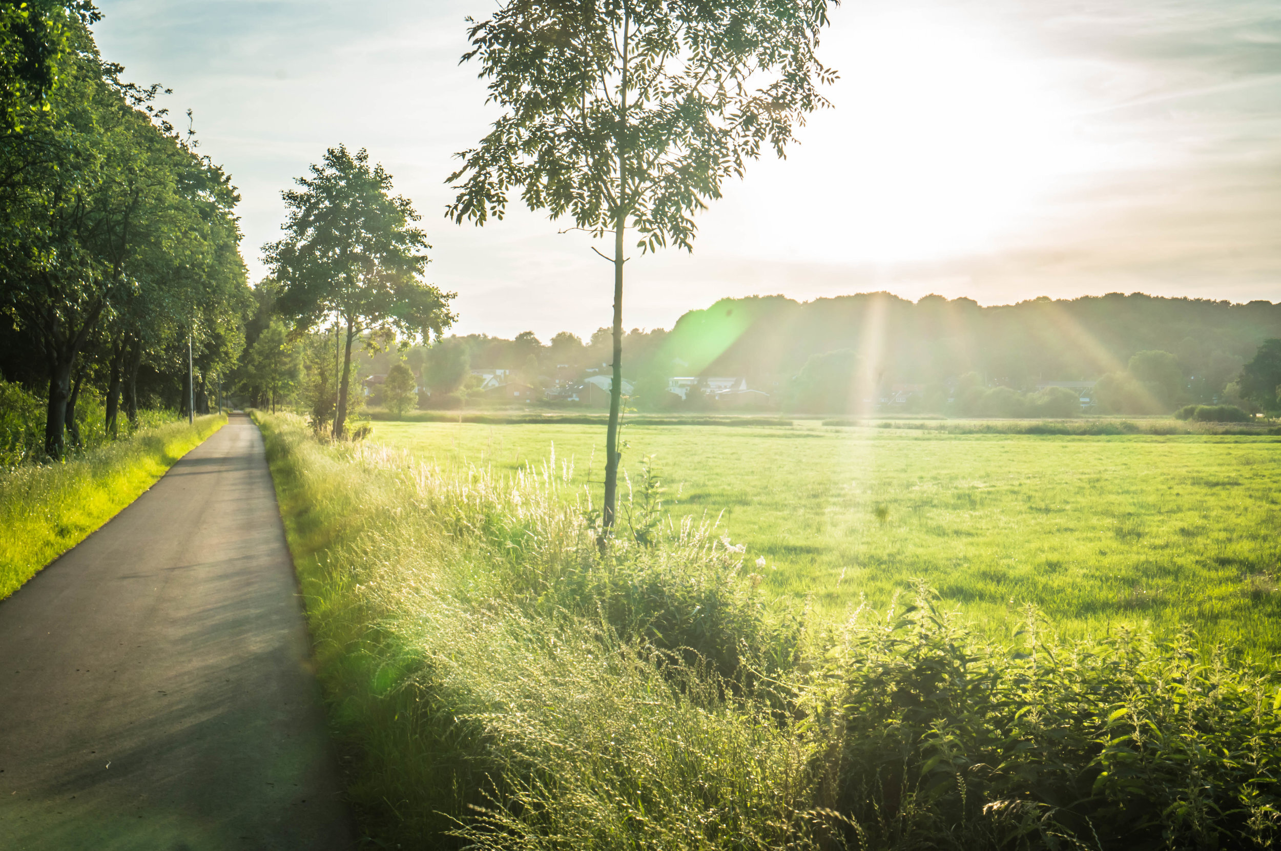 The unlucky journey to Bremen