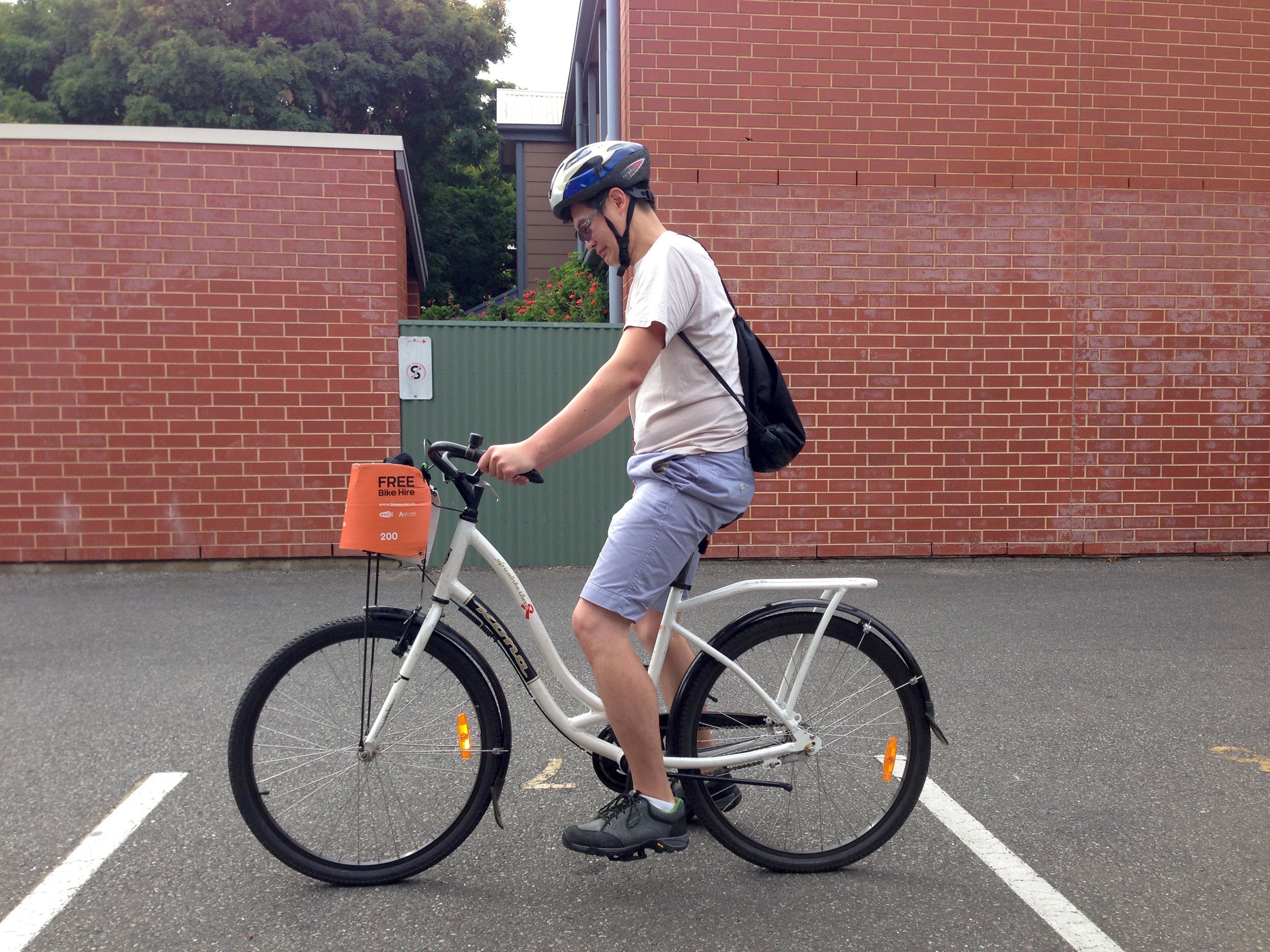 Like riding a bike (Day 4)