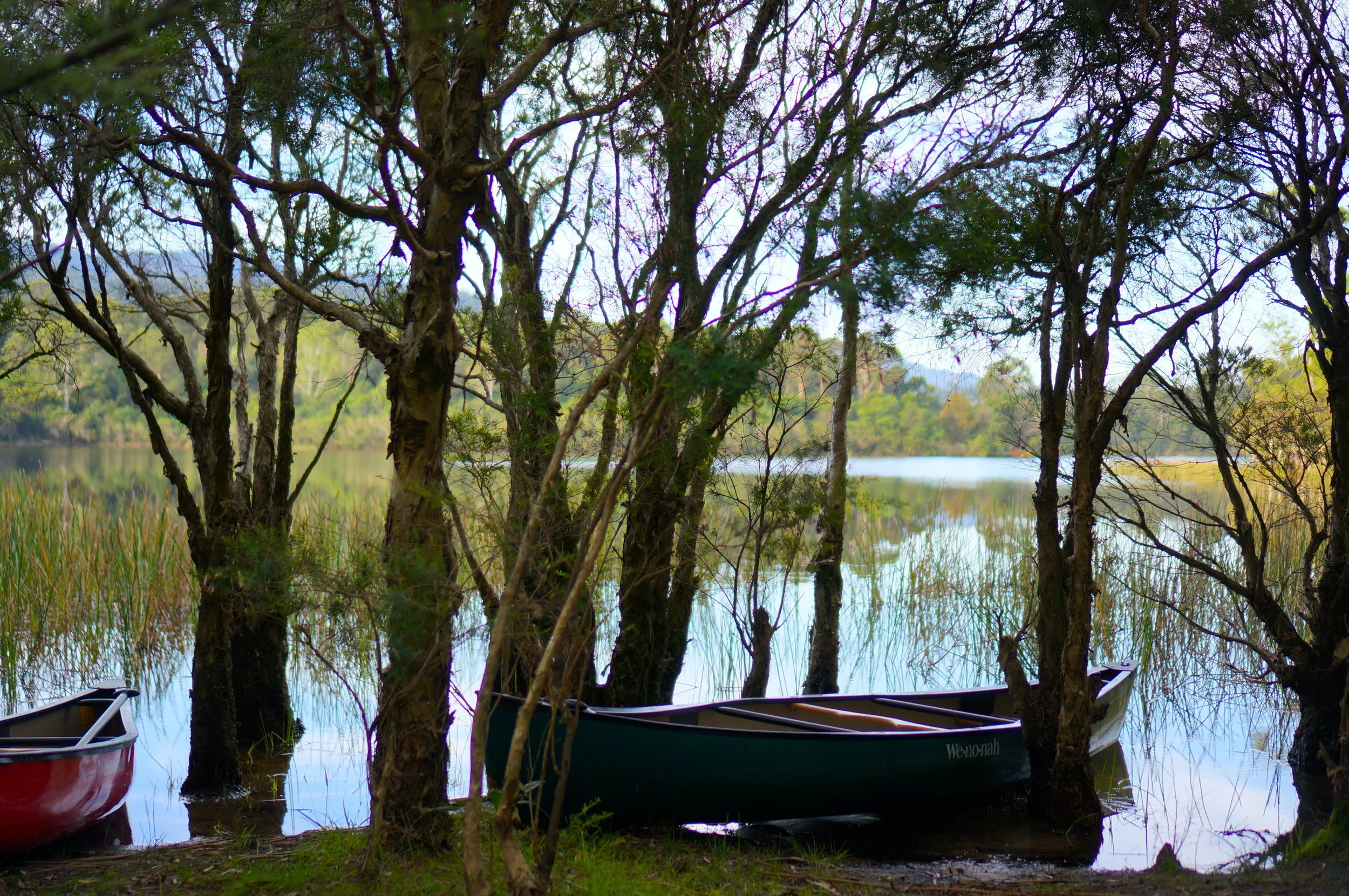 Honey what you like?