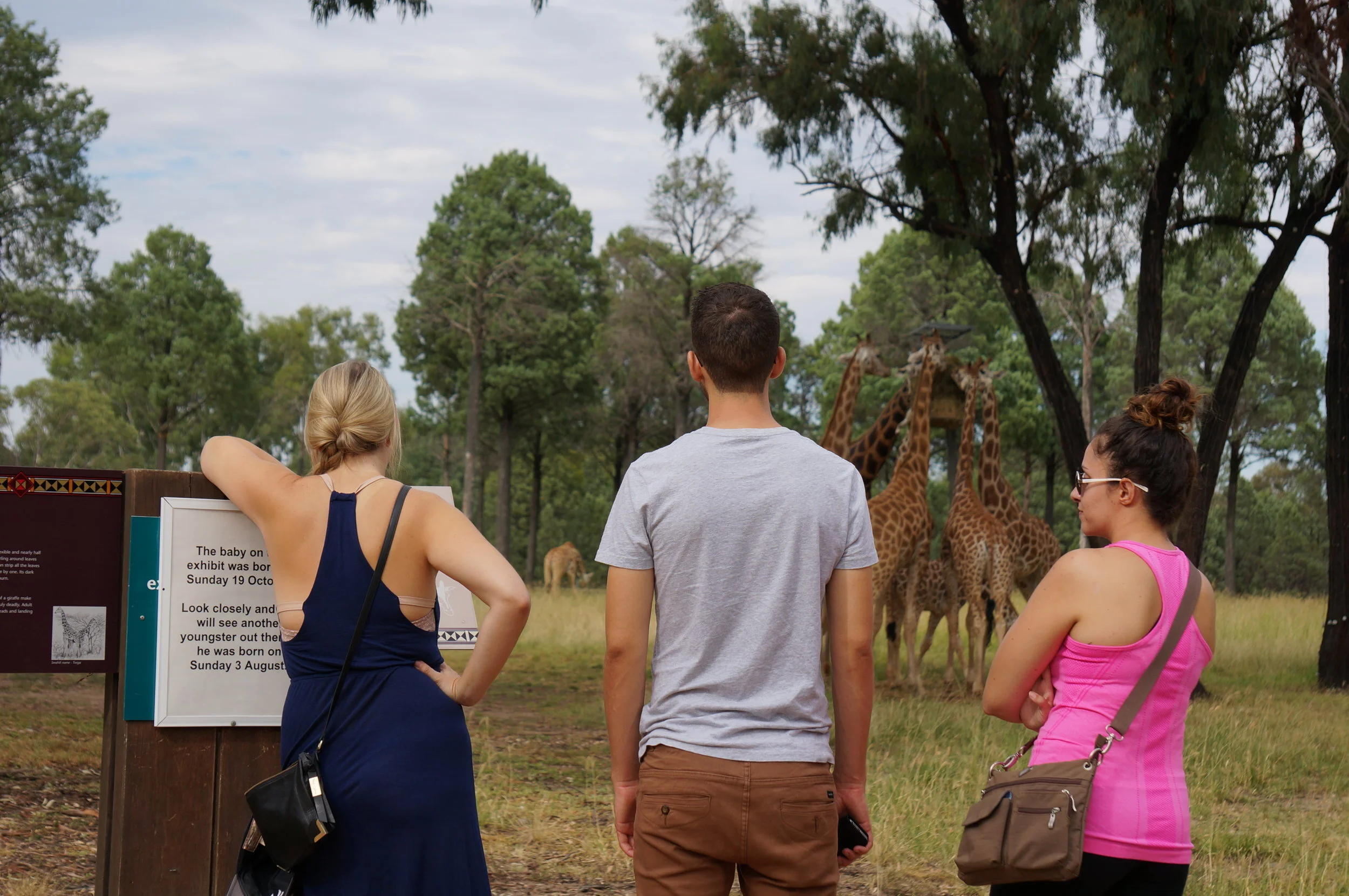 Visiting a Zoo at 28