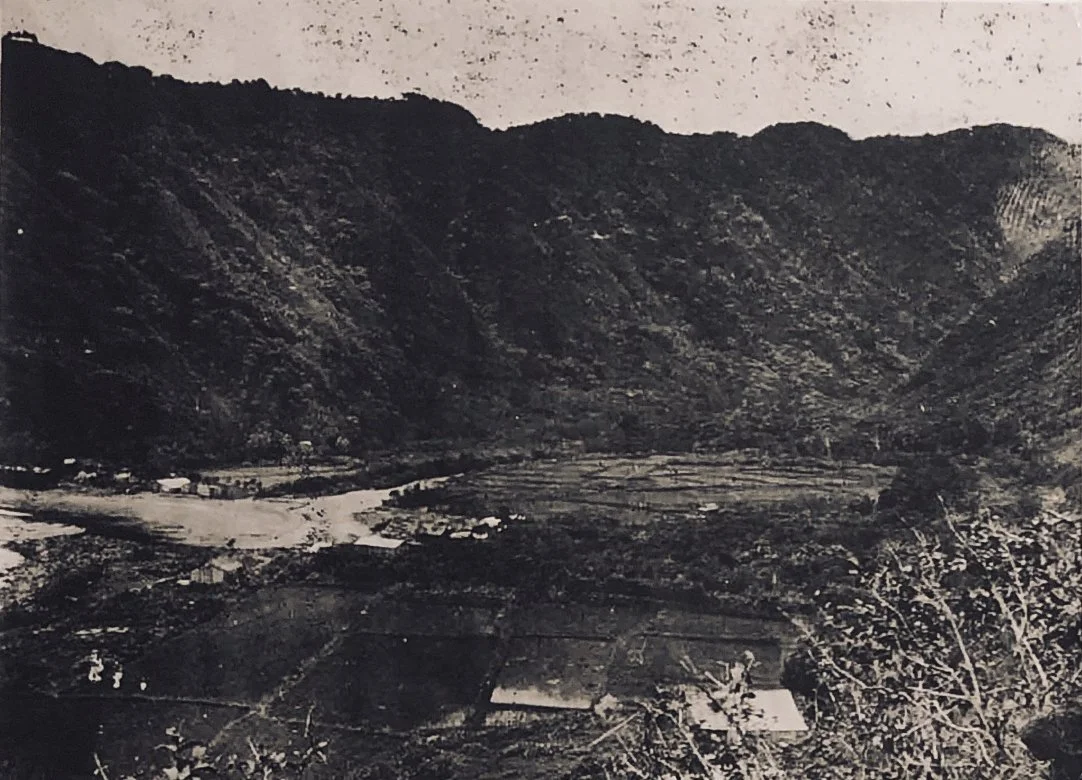 Honomanu 1940 wetland taro fields.jpg