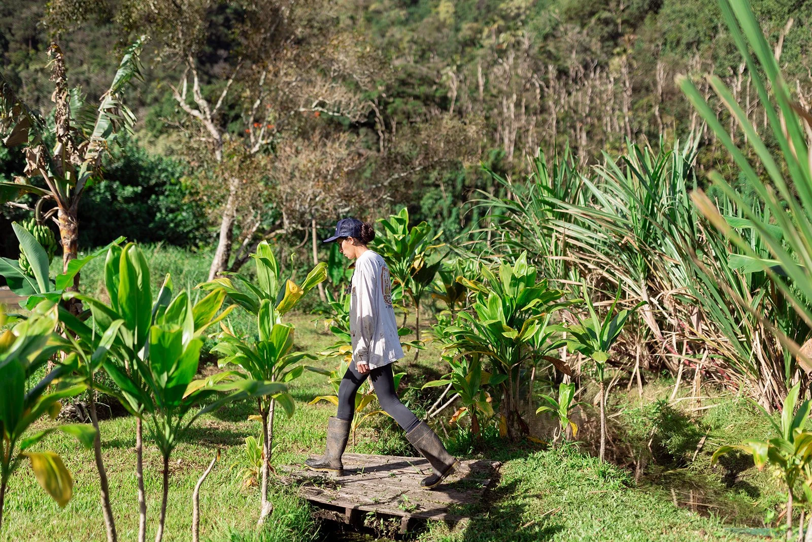 East Maui Land Restoration-47.jpg