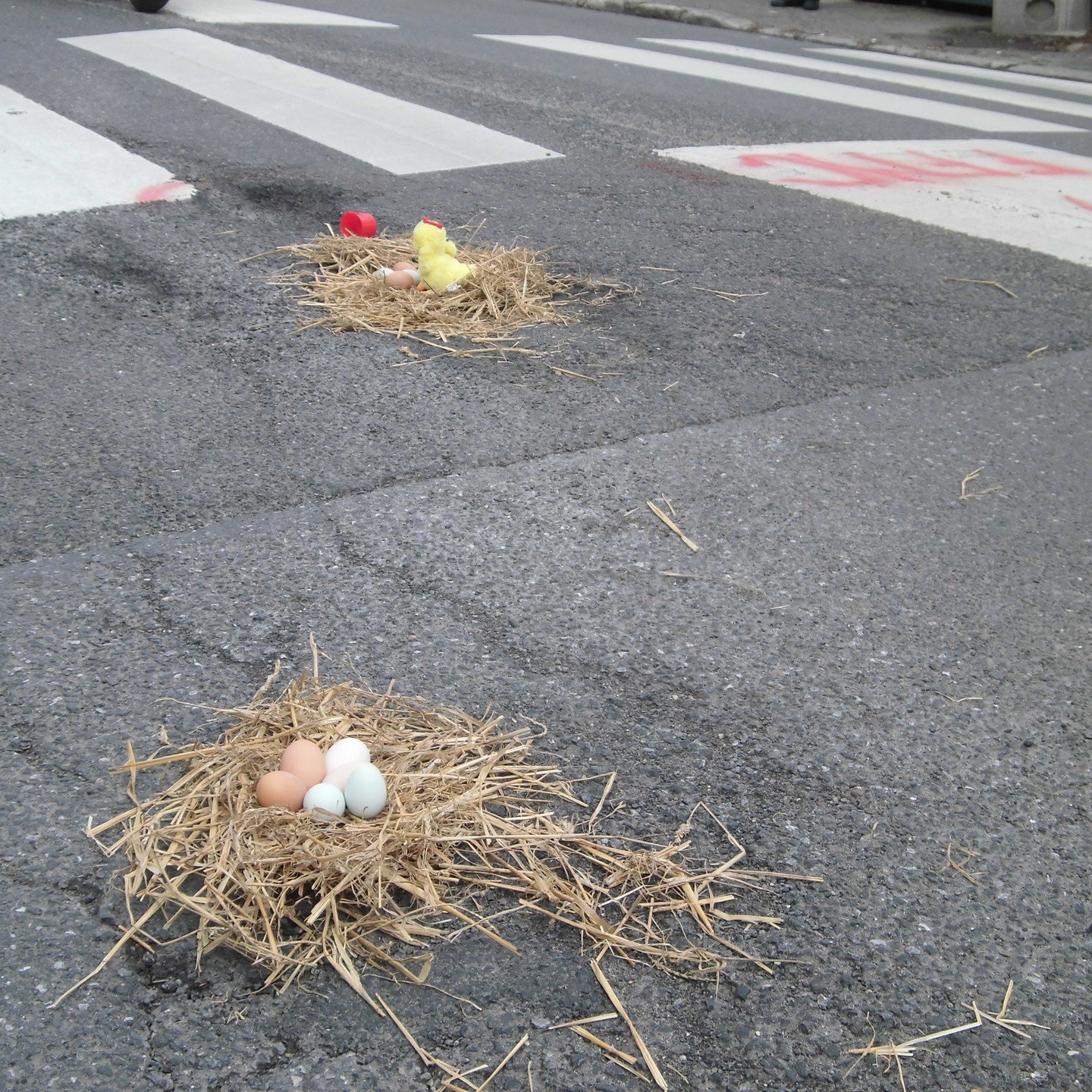 🛣️✊ Opération Nid de Poules FFMC 2024✊🛣️
La sécurité sur la route est notre priorité, et cette année, énorme succès de l'Opération #niddepoule . 🏍️💨
Face aux défis que rencontrent q