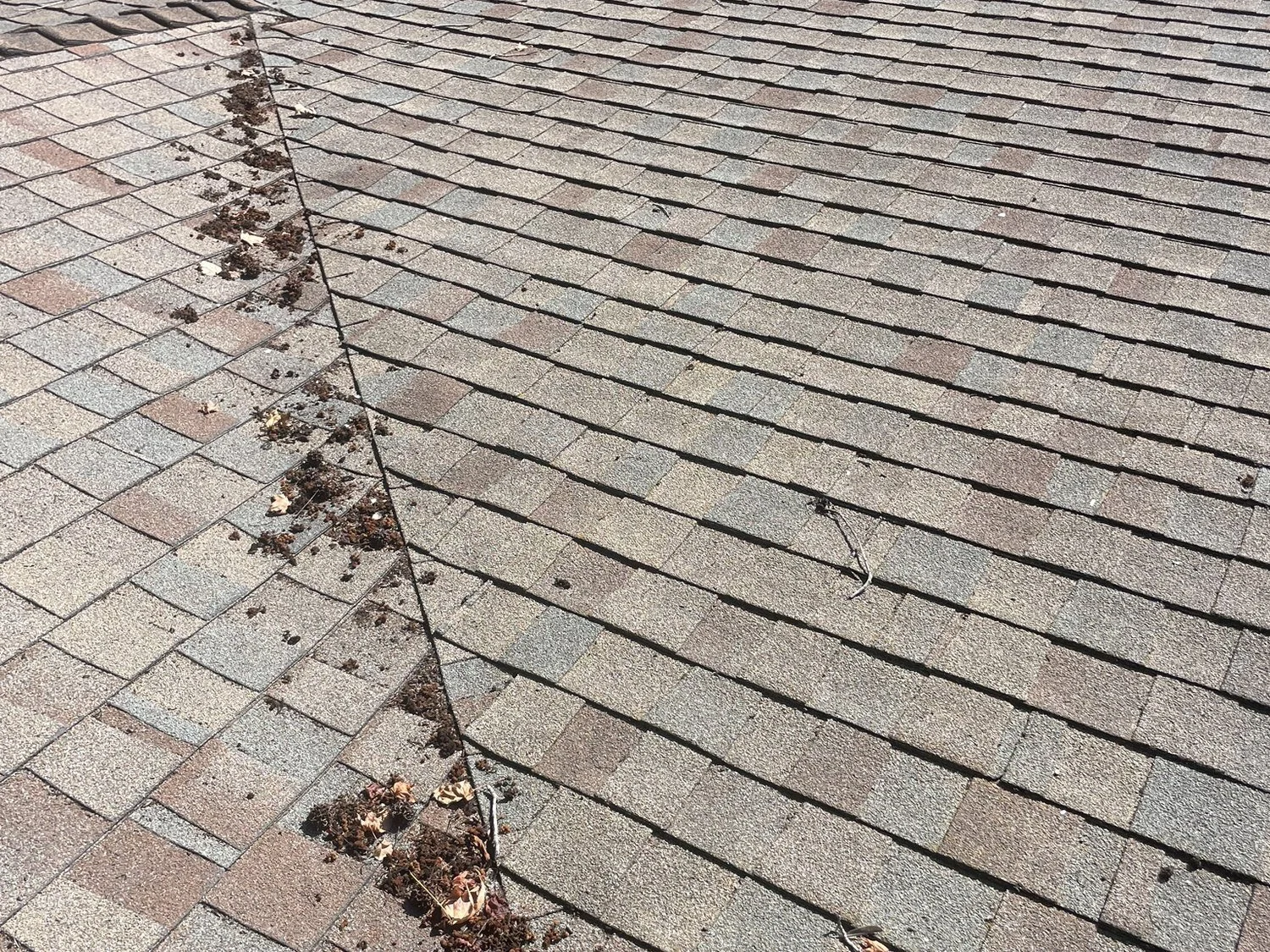 Roof valley and gutter clogged with leaves and debris before the rainy season