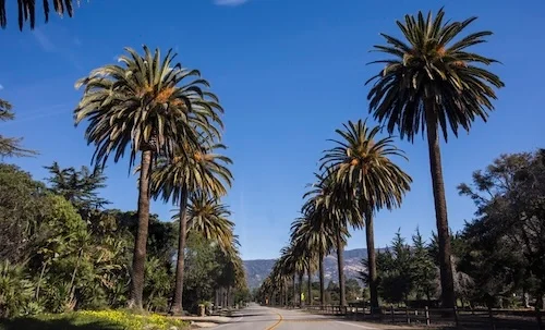 Roofing company in Hope Ranch, CA, for luxury coastal estates and high-end residential roofing.