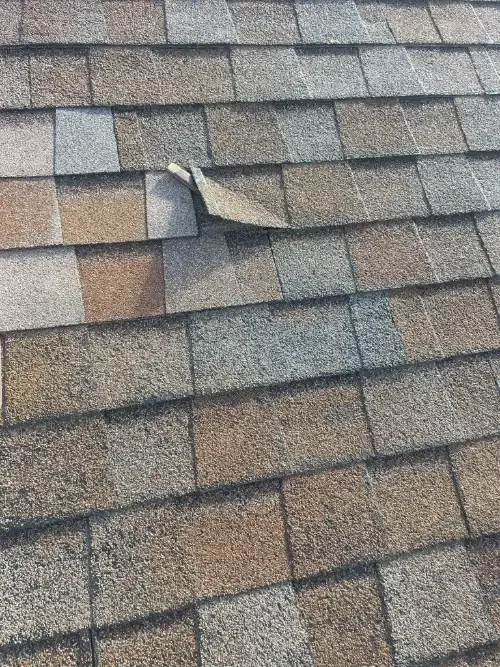 Professional roof repair on The Riviera, CA, addressing wind-damaged shingles and preventing roof leaks for hillside homes.