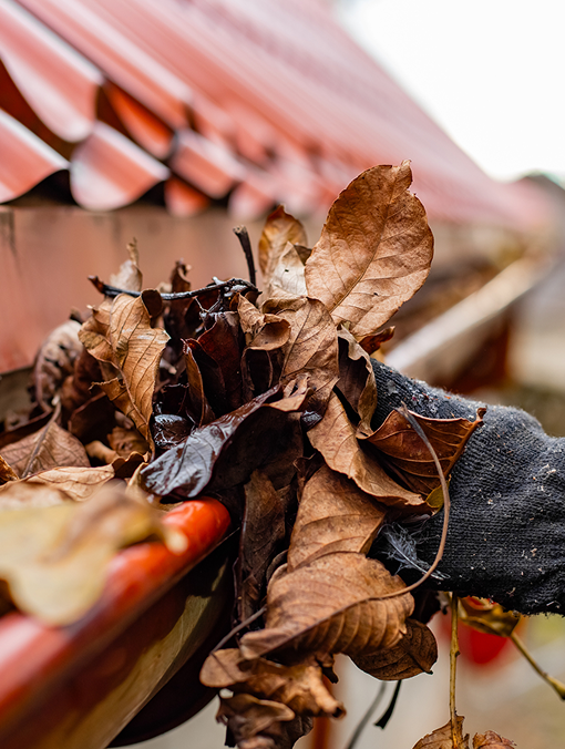 Roofer clearing leaves from a gutter during roof maintenance on a clay tile roof