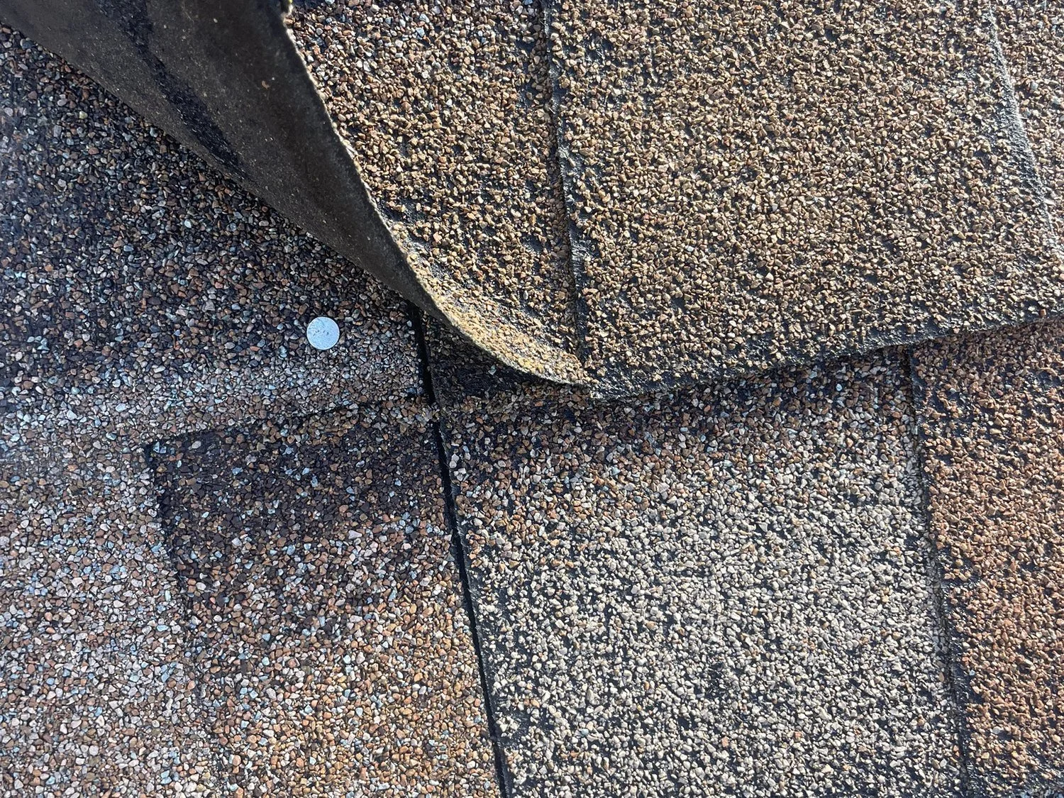 Lifted, brittle asphalt shingle, a sign a roof is near the end of its life