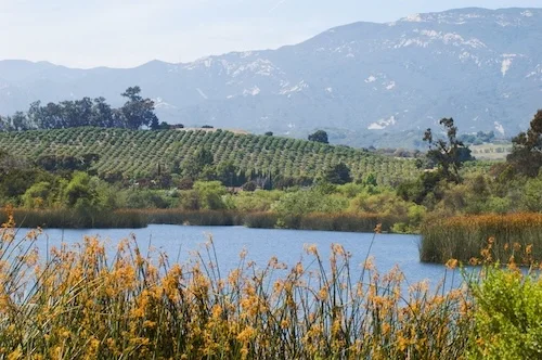 Roofing company in Goleta, CA, providing expert residential shingle and commercial flat roof services.