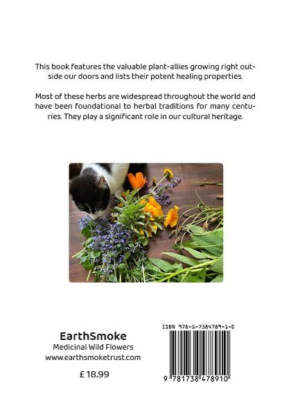 Book1+paperback+back+Design.jpg
