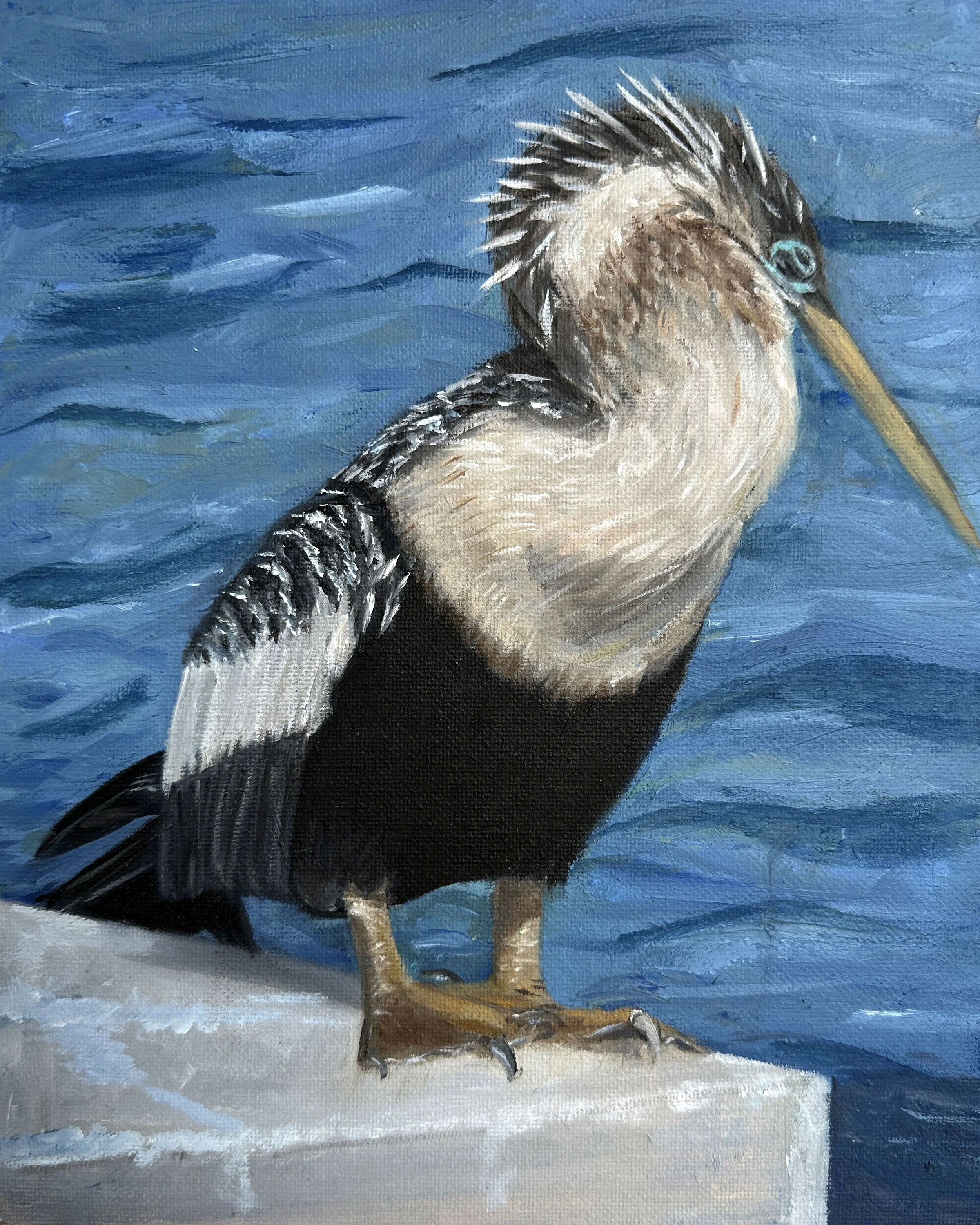 Bayshore bird
