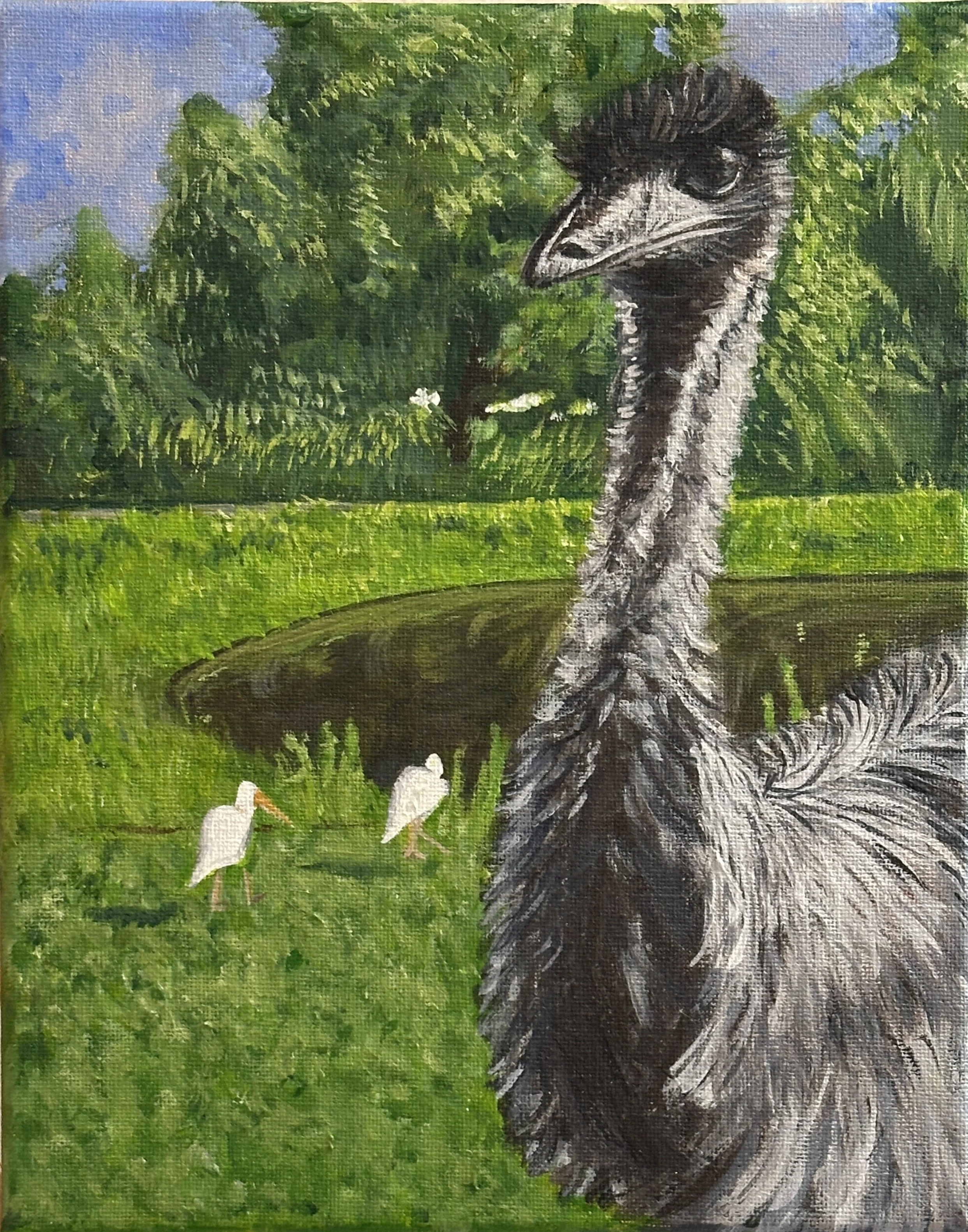 Haven't you always wanted an emu?