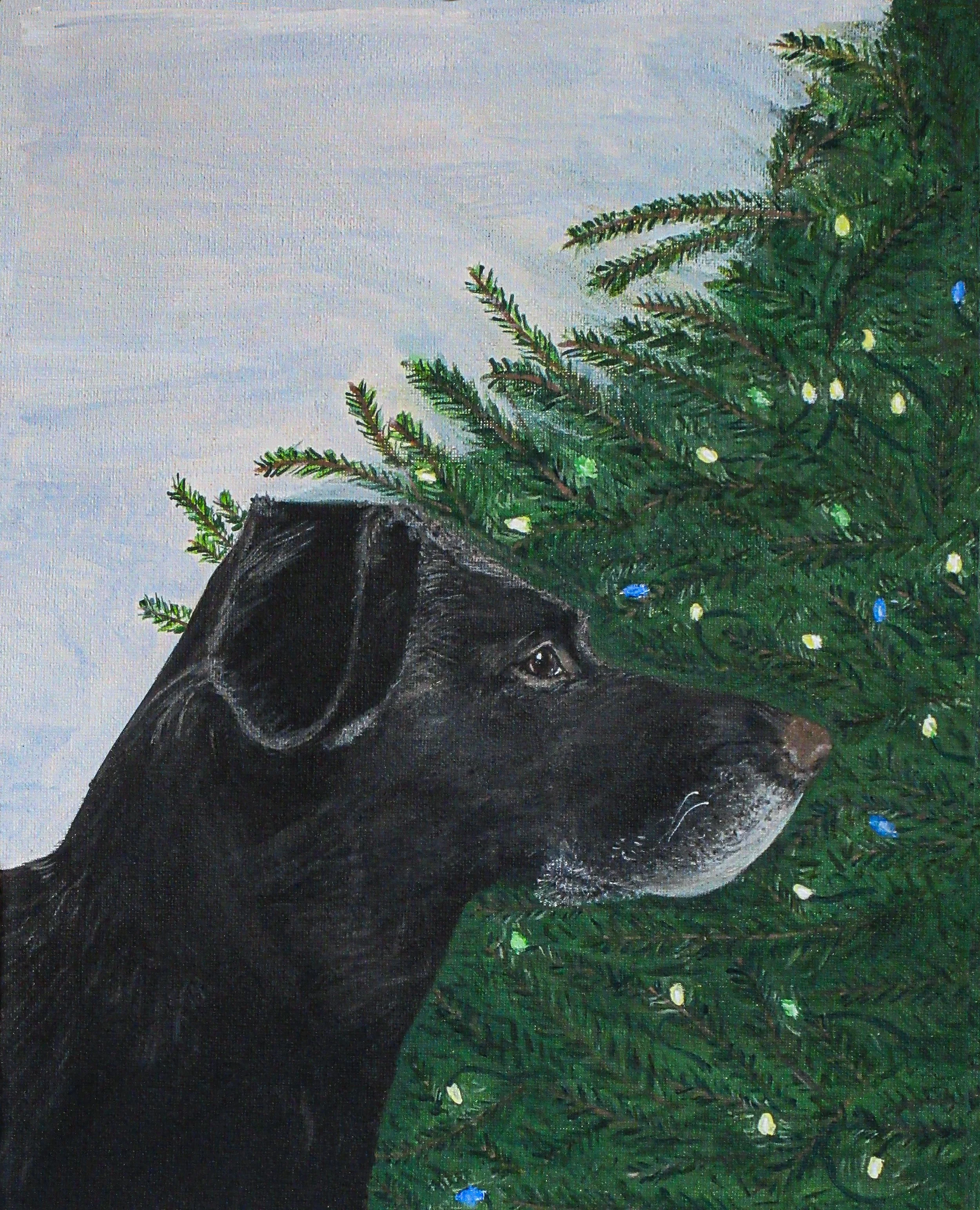 Waiting for Santa