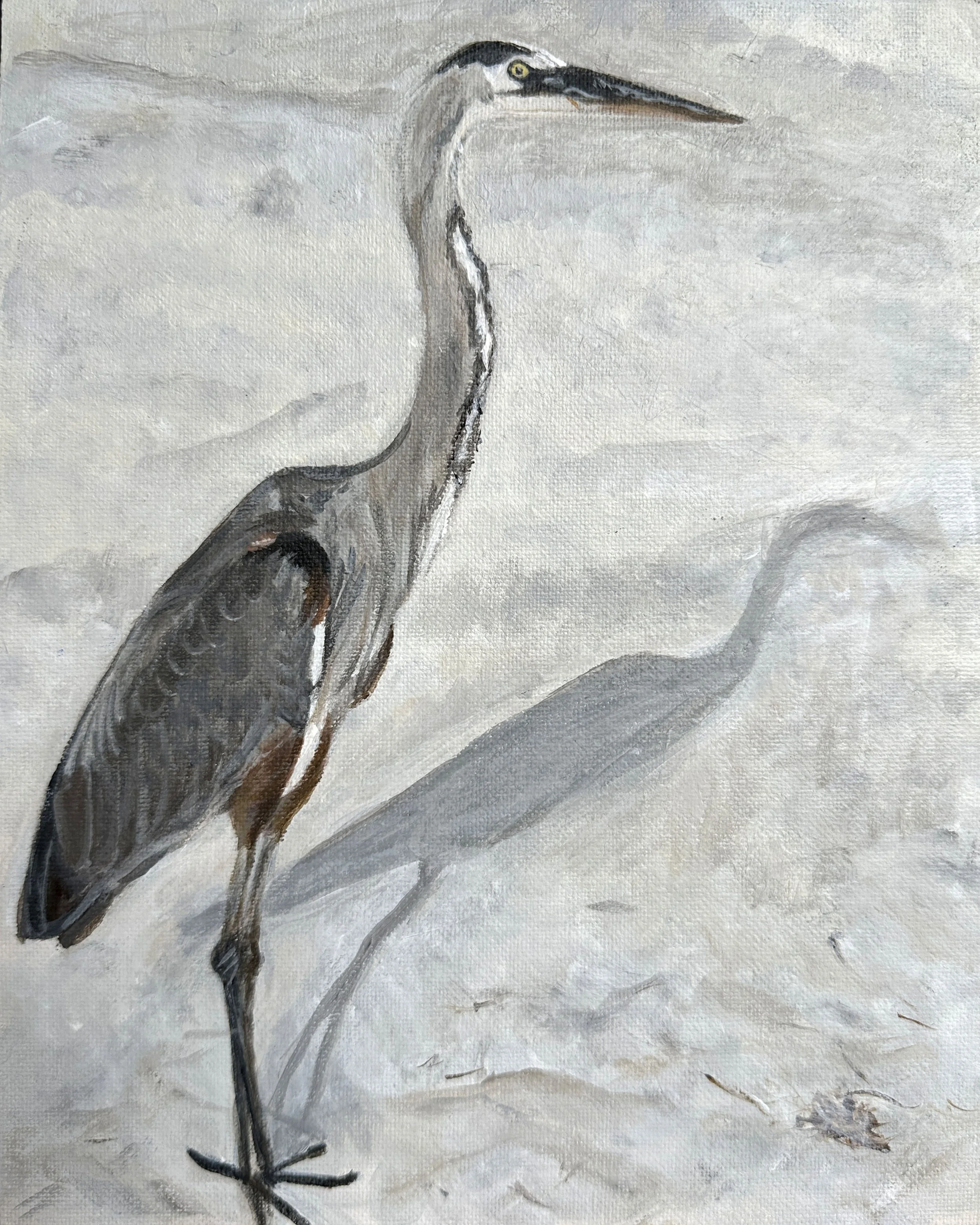 Beach bird