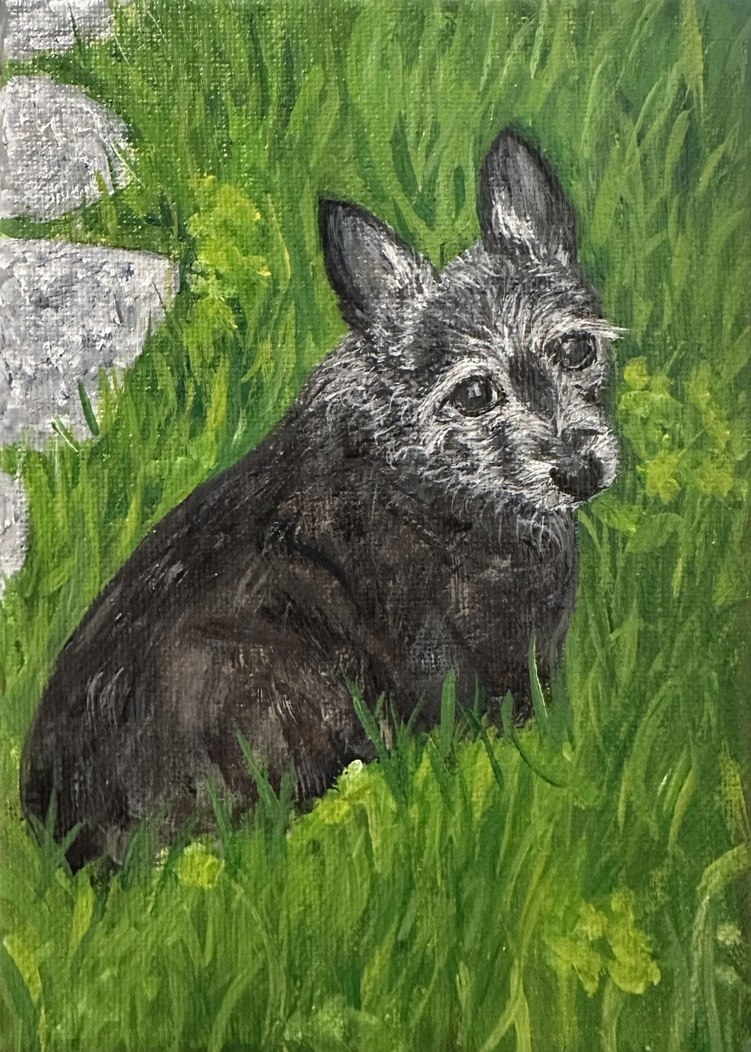 Stella