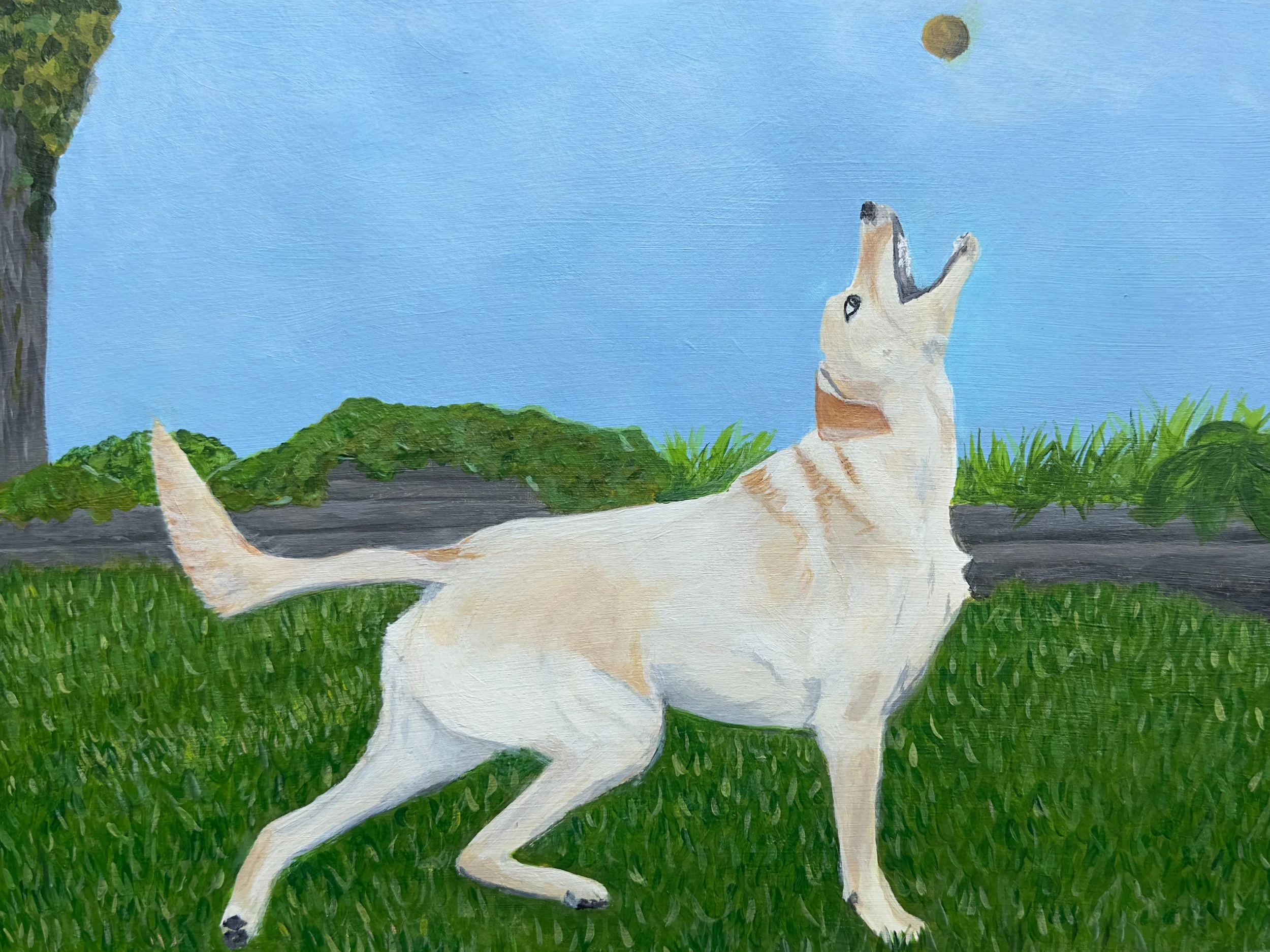 Ball