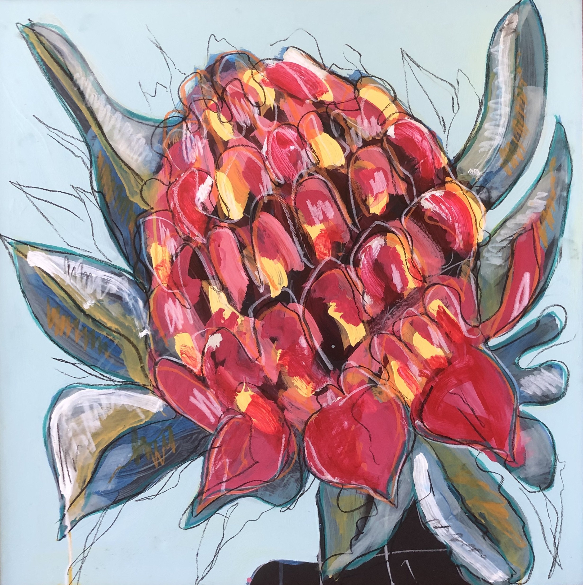 WARATAH #1