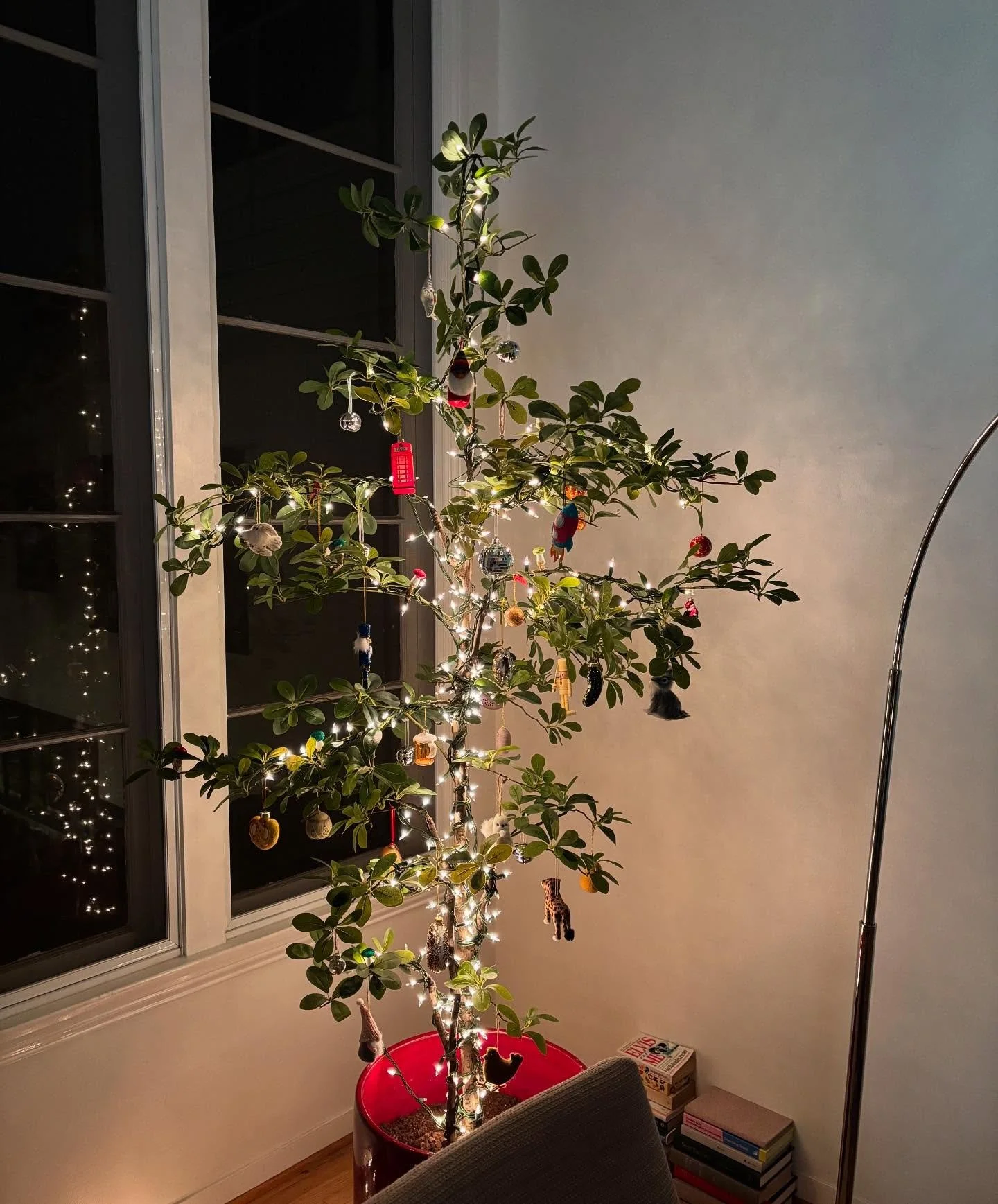 Charlie Brown Tree of my dreams 🎄