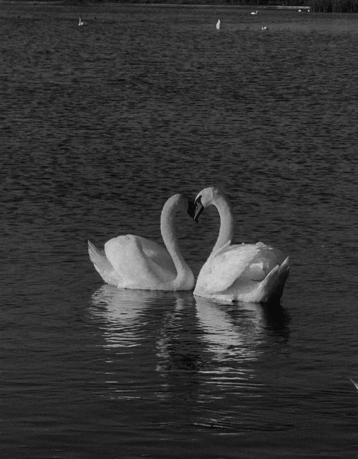 The only thing more powerful than hate is love 💌