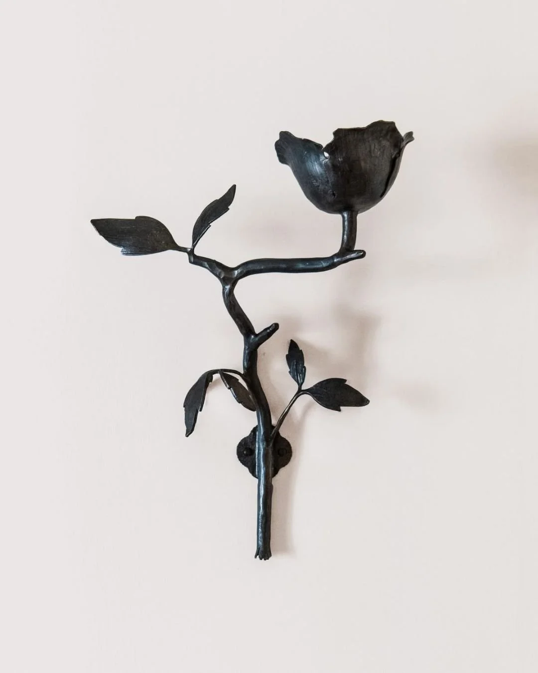 Sonce by @jesswheeler.studio via @theoblist